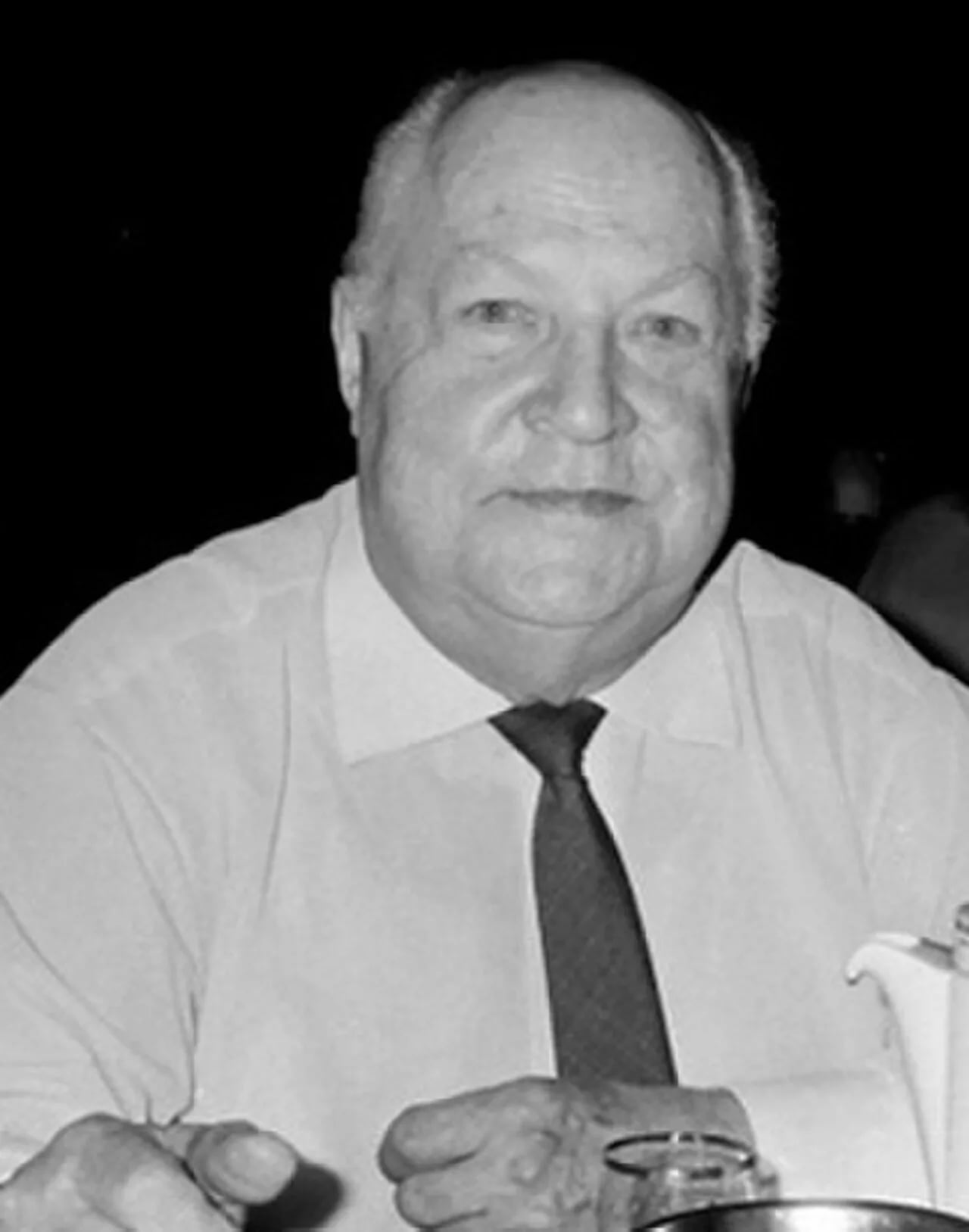 Portrait of Vladimir Sapozhnin (1906–1996) – memorial page