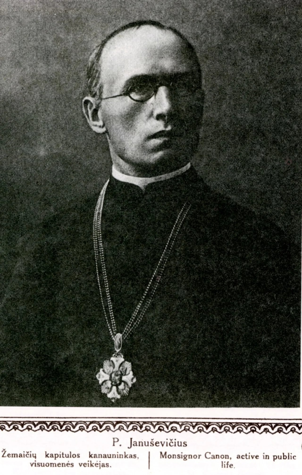 Portrait of Povilas Januševičius (1866–1948) – memorial page