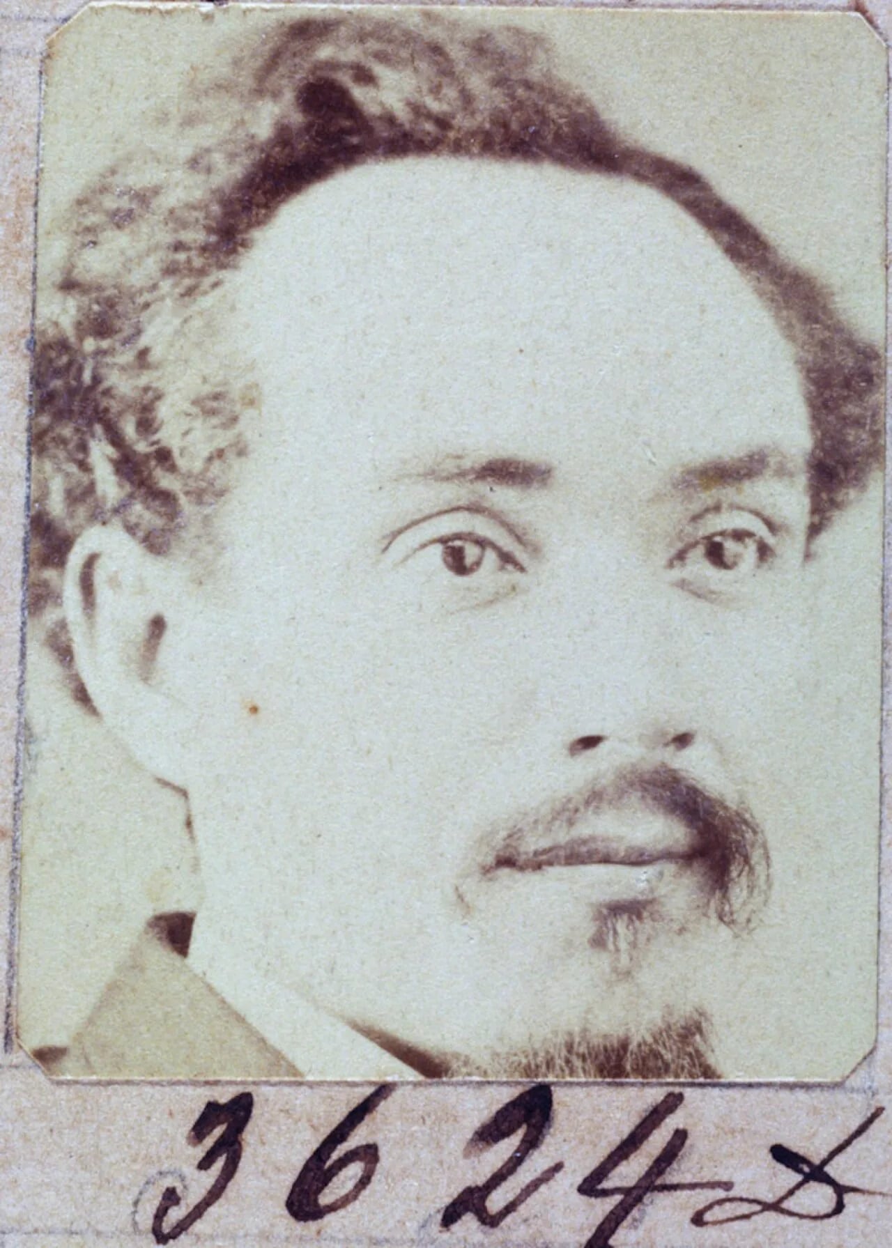 Porträt von Américo Brasílio de Campos (1835–1900) – Gedenkseite
