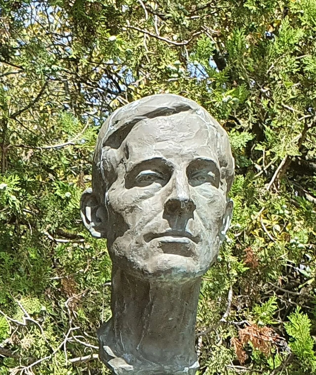 Portrait of Augusto de Figueiredo (1910–1981) – memorial page