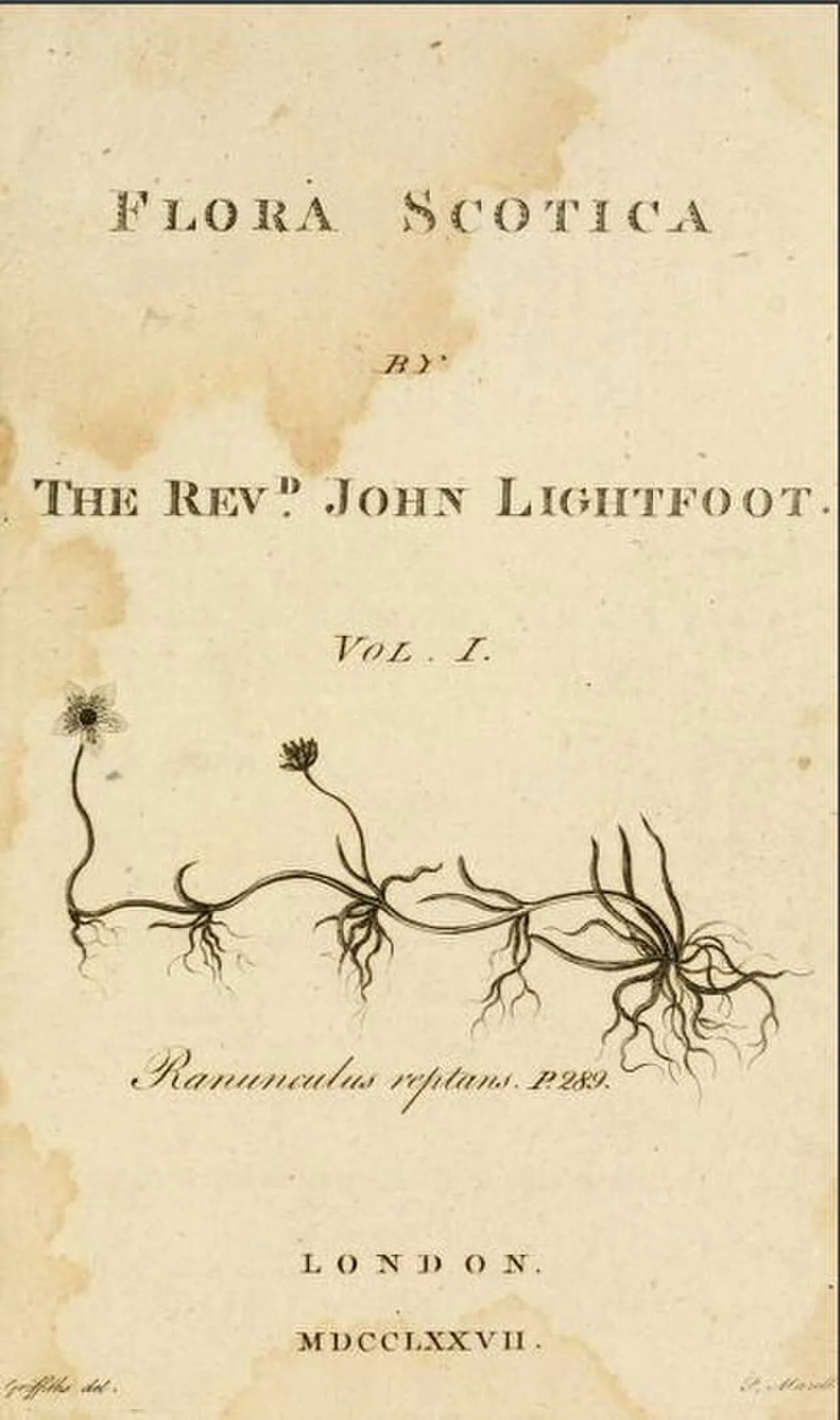 Portrait of John Lightfoot (1735–1788) – memorial page