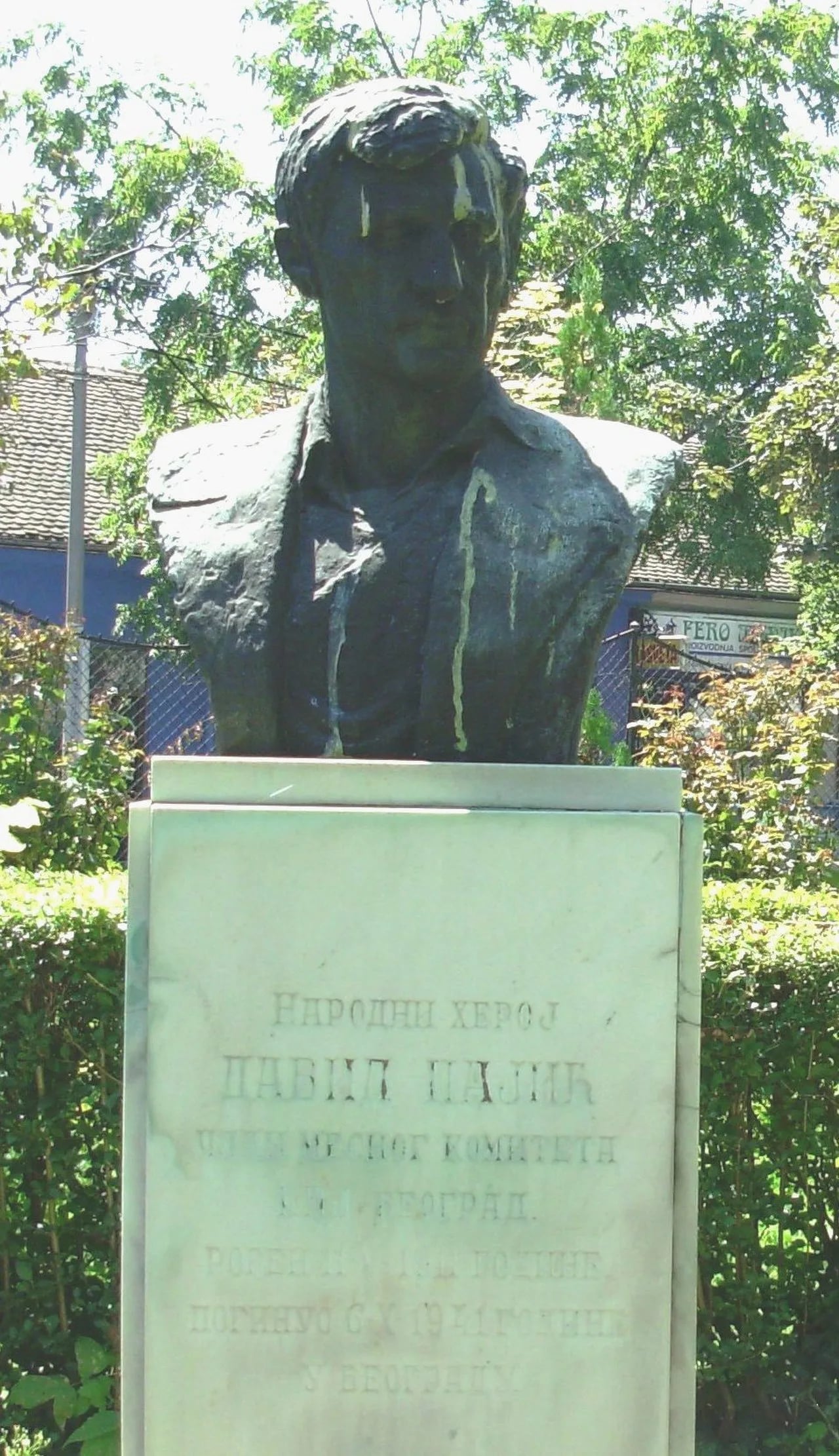 Porträt von David Pajić (1911–1941) – Gedenkseite