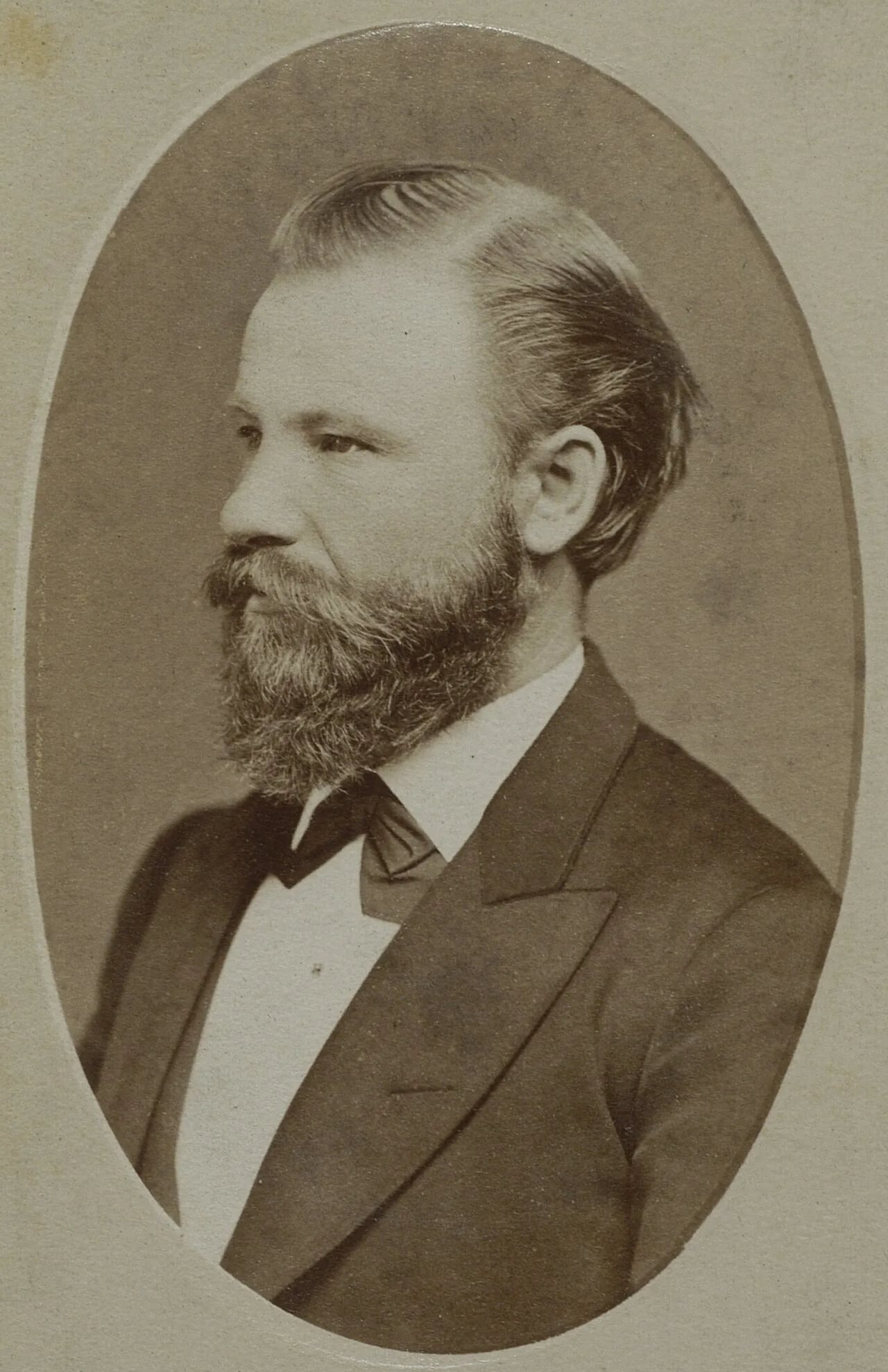 Portrait of Władysław Pawlicki (1831–1923) – memorial page