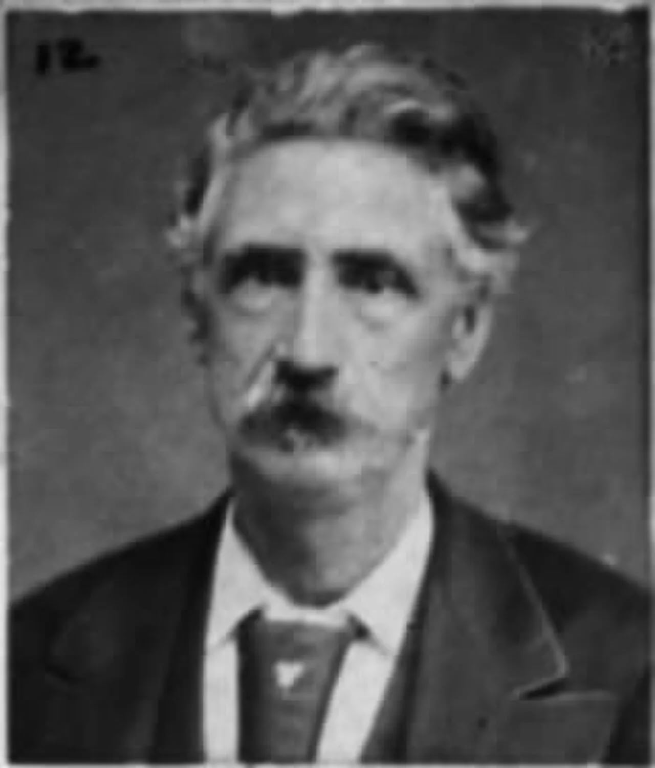 Portrait of Francis Marion Martin (1830–1903) – memorial page