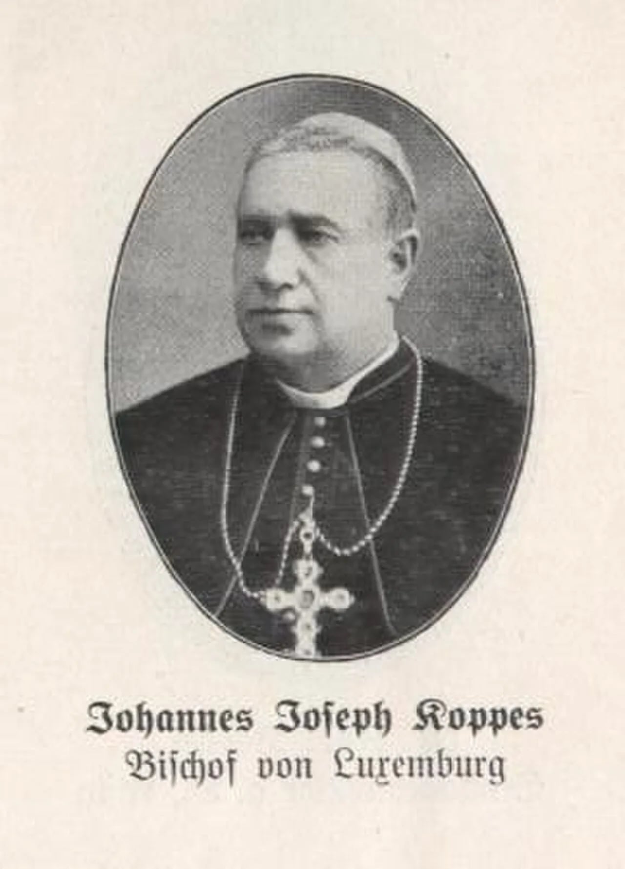 Portrait of Johannes Joseph Koppes (1843–1918) – memorial page