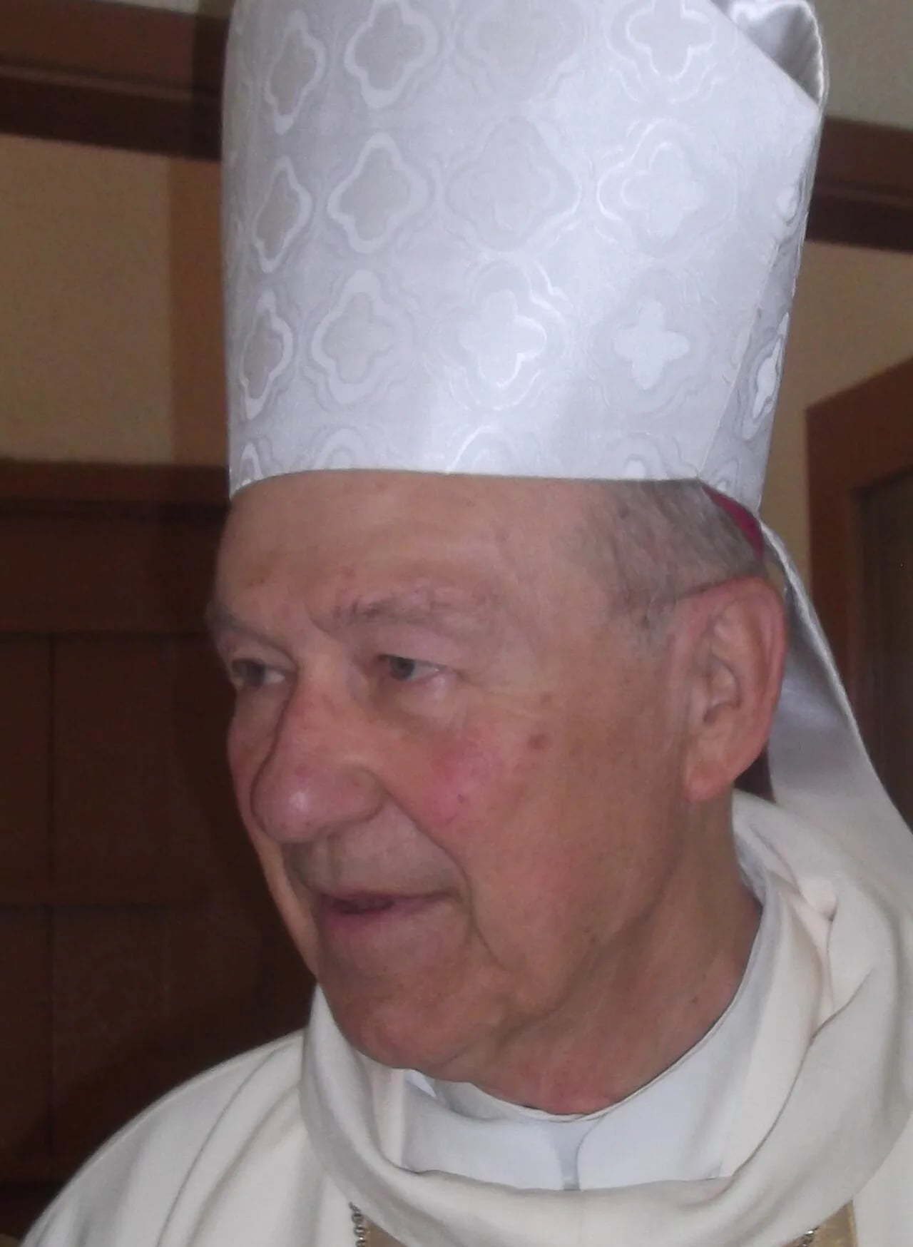 Porträt von Irineu Sílvio Wilges (1936–2022) – Gedenkseite