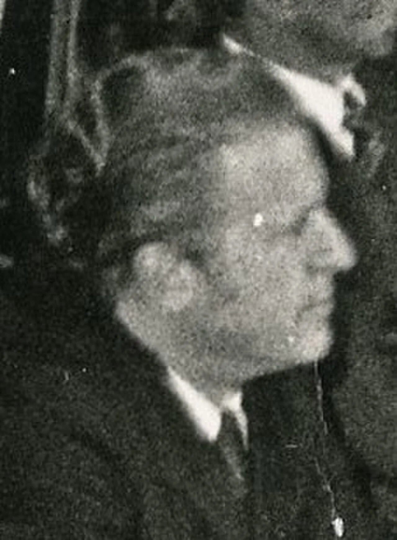 Porträt von Nelson Pedrini (1935–2025) – Gedenkseite