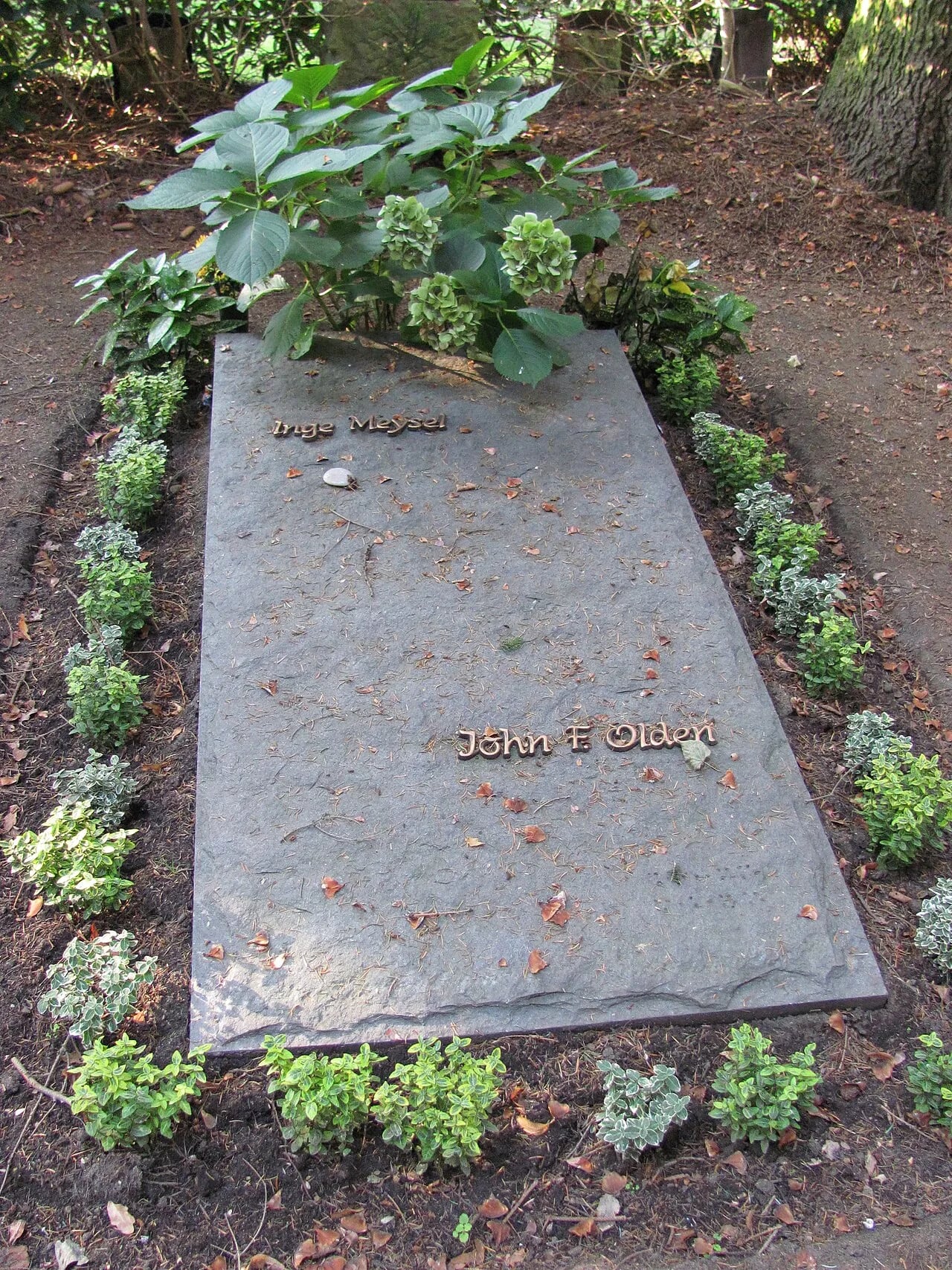 Portrait of John Olden (1918–1965) – memorial page