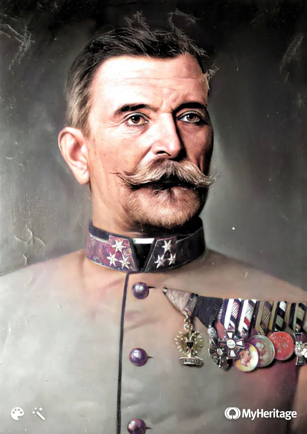 Porträt von Joseph Steiner von Steinstätten (1834–1905) – Gedenkseite