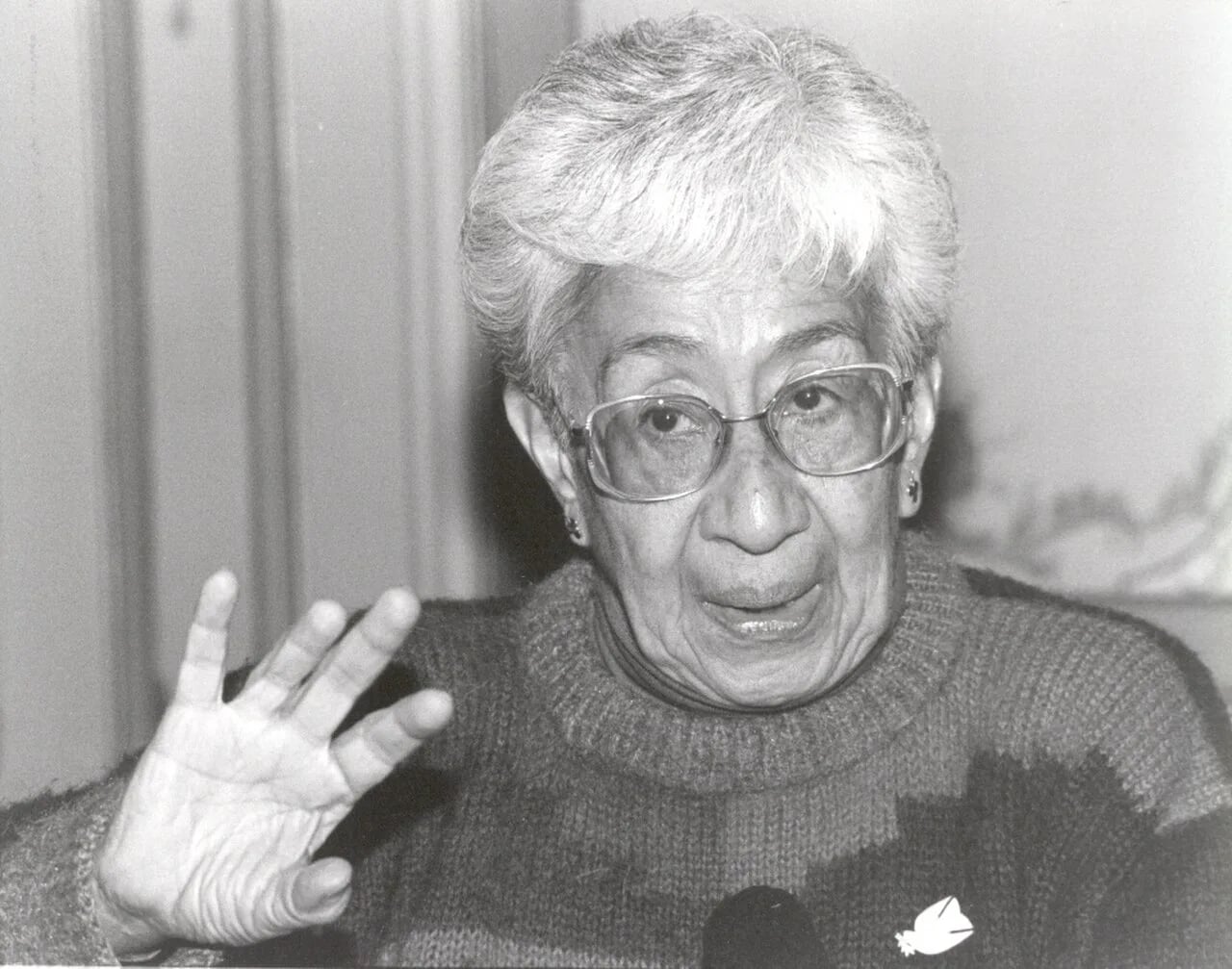 Portrait of Julia Esquivel (1930–2019) – memorial page