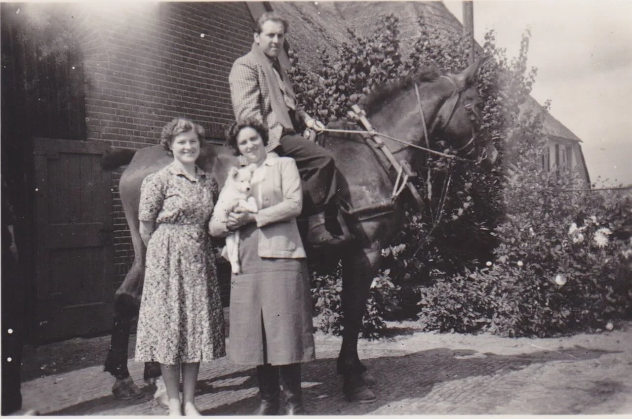 Portrait of Piet Struijk (1922–1992) – memorial page