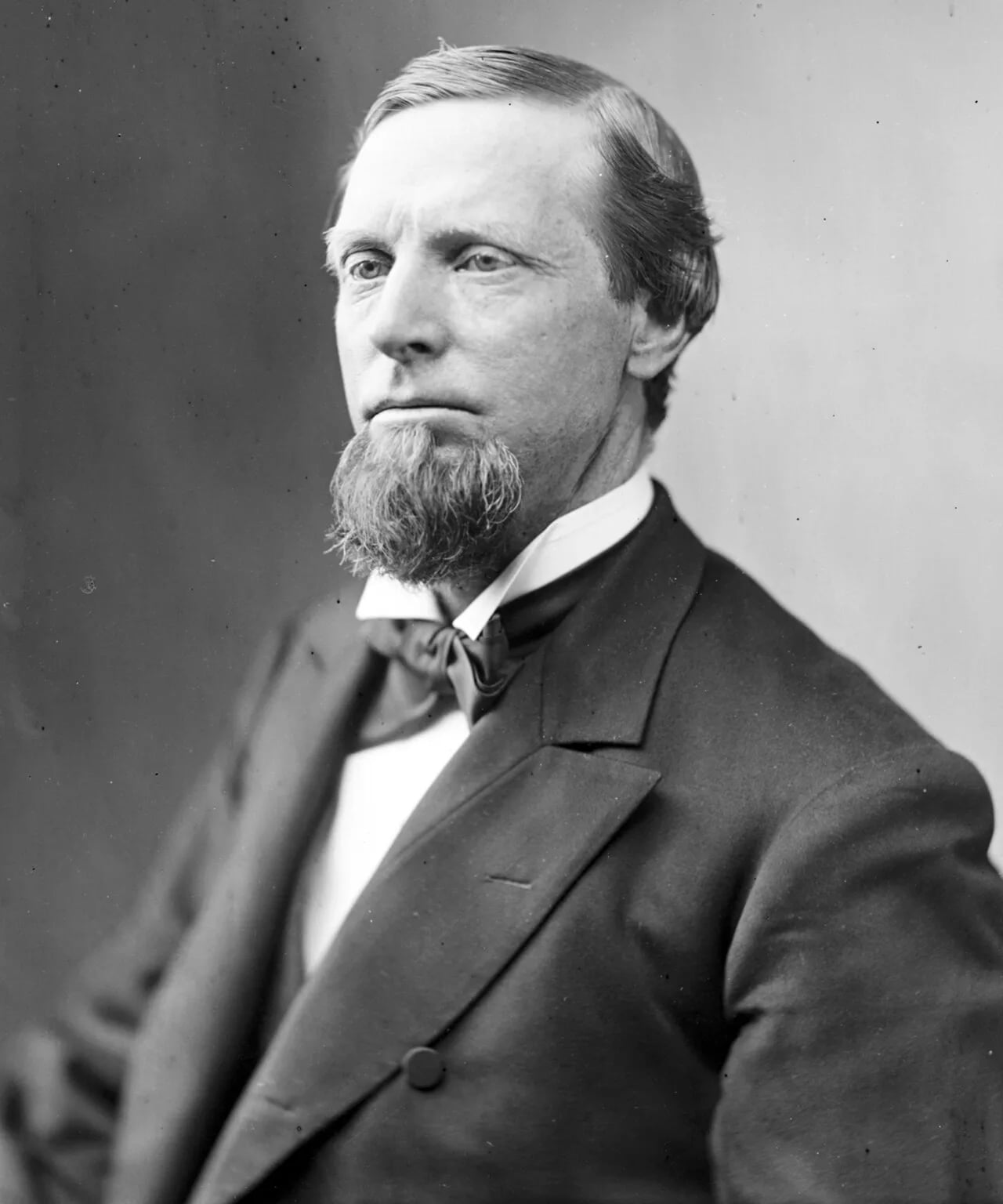 Porträt von Levi Warner (1831–1911) – Gedenkseite