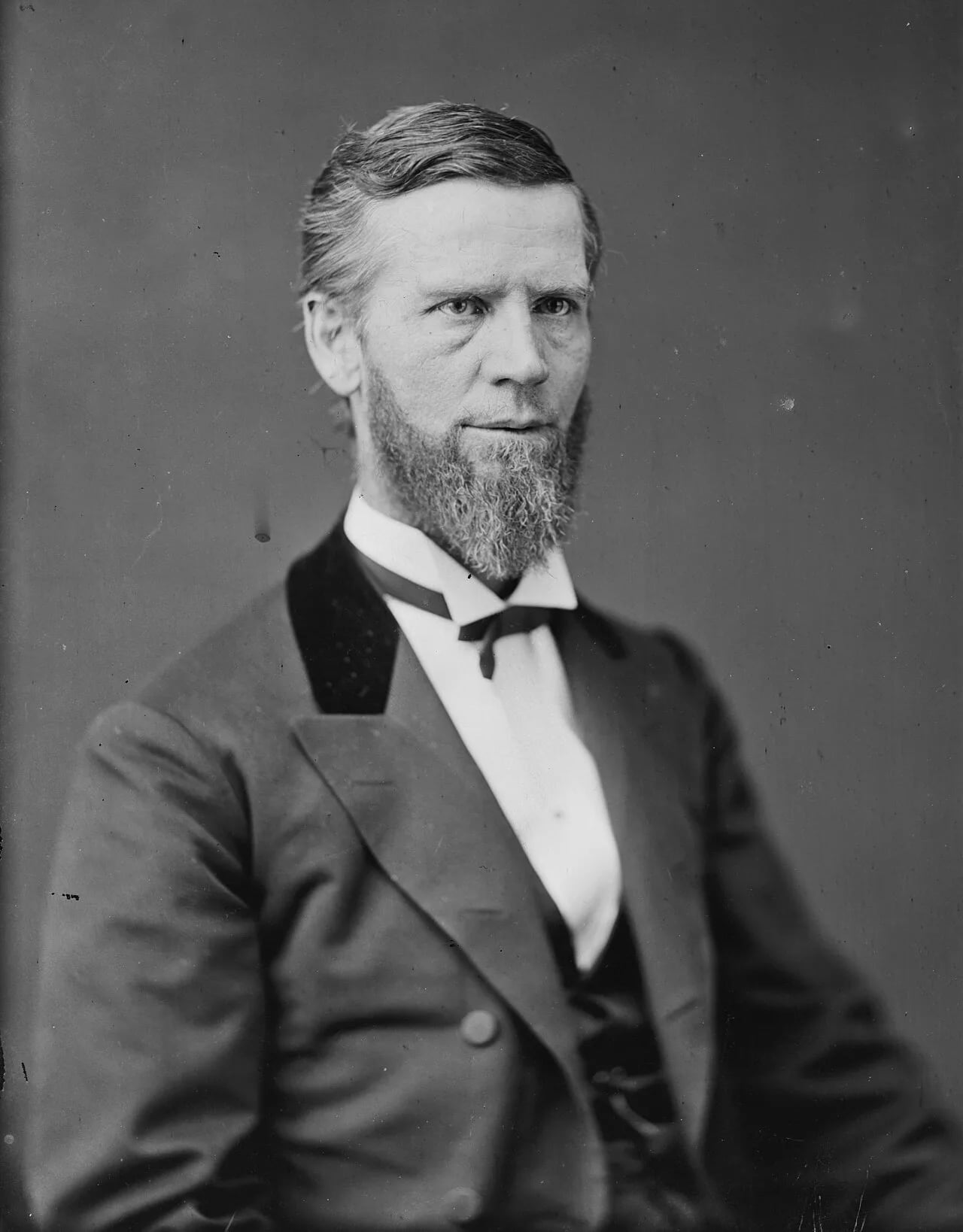 Porträt von William A. Wallace (1827–1896) – Gedenkseite