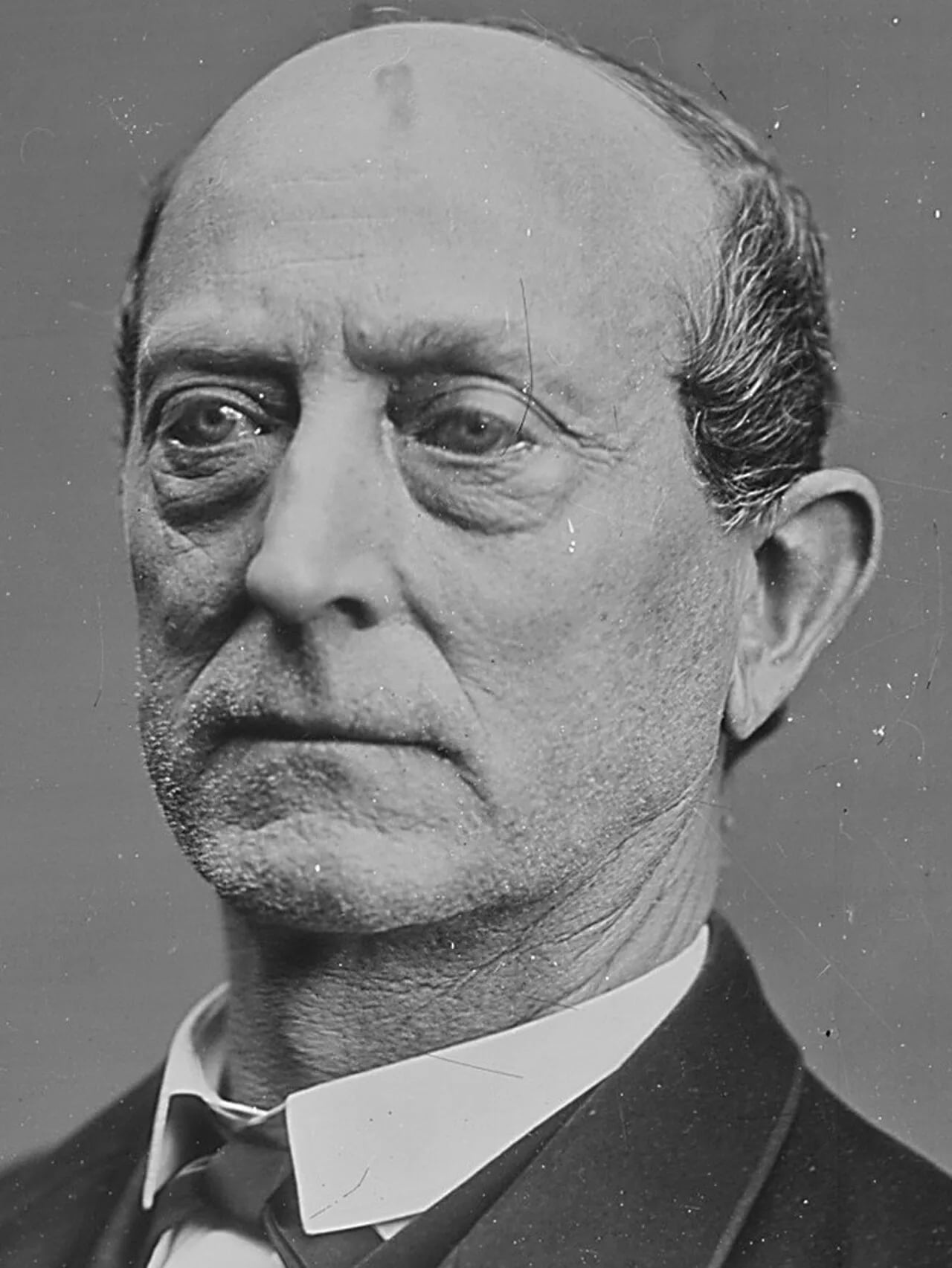 Portrait of William Brickly Stokes (1814–1897) – memorial page
