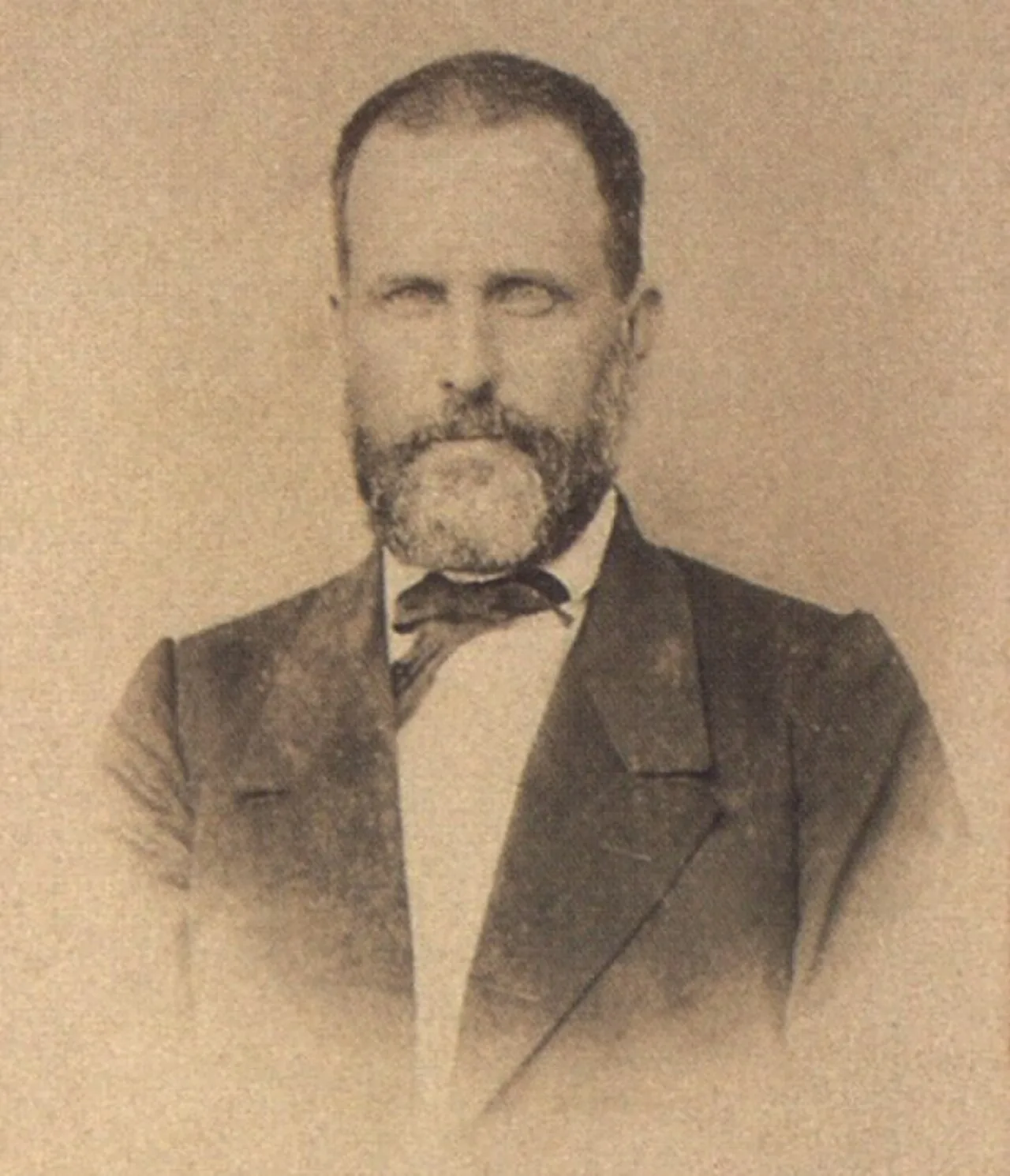 Porträt von José Antônio Saraiva (1823–1895) – Gedenkseite