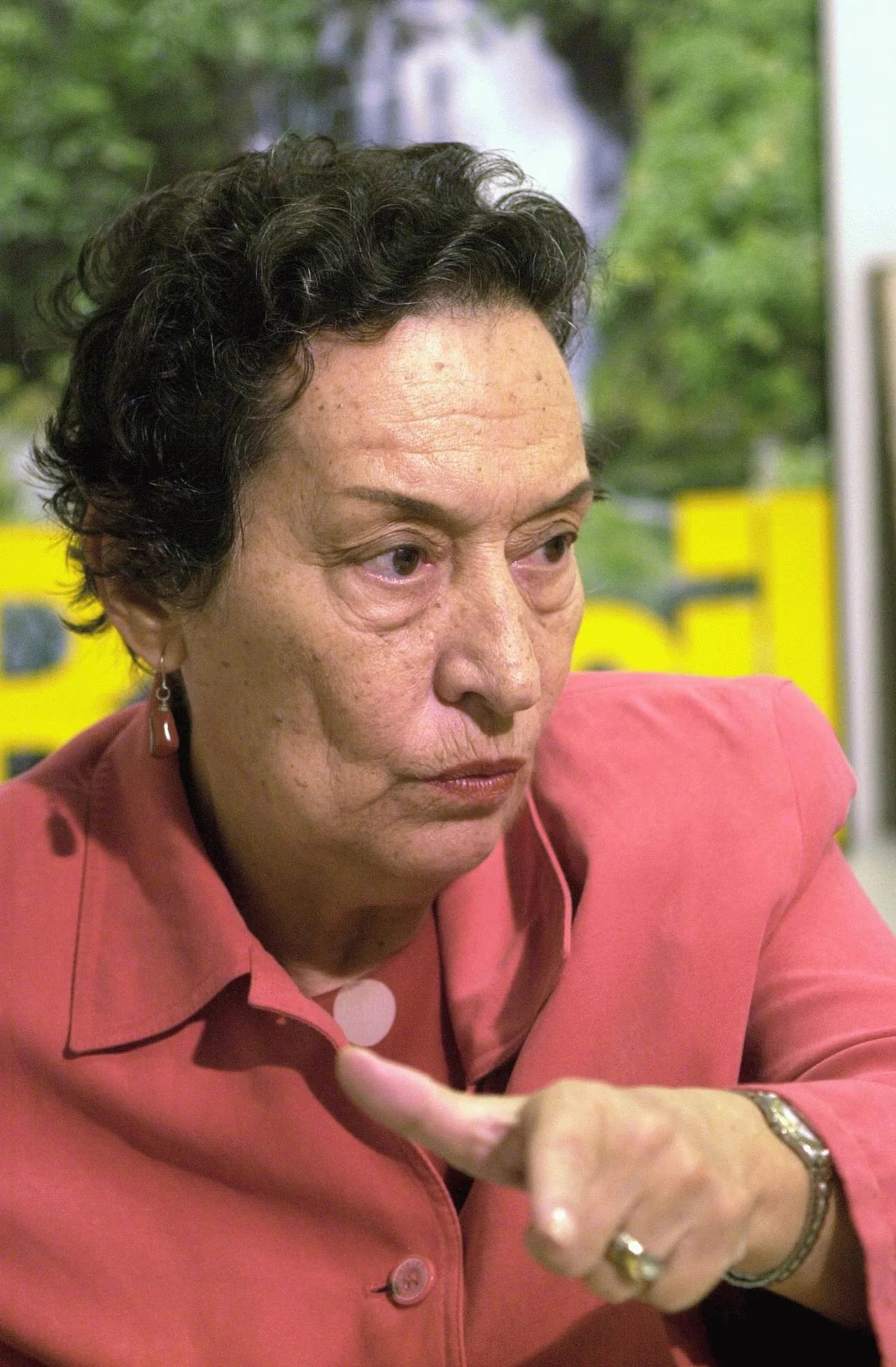 Porträt von Maria da Conceição Tavares (1930–2024) – Gedenkseite