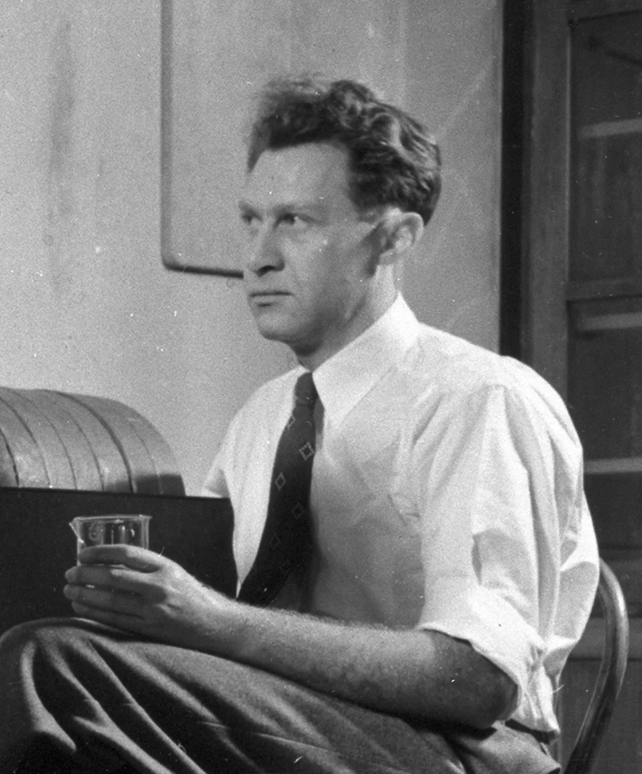 Porträt von Robert Marshak (1916–1992) – Gedenkseite