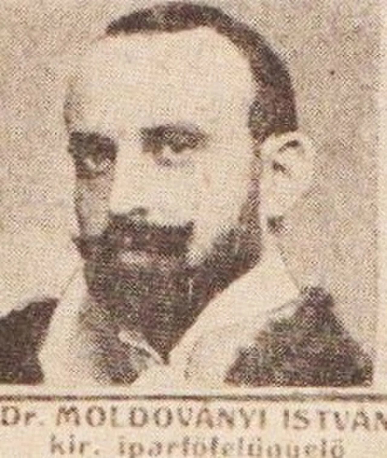 Portrait of István Moldoványi (1871–1916) – memorial page