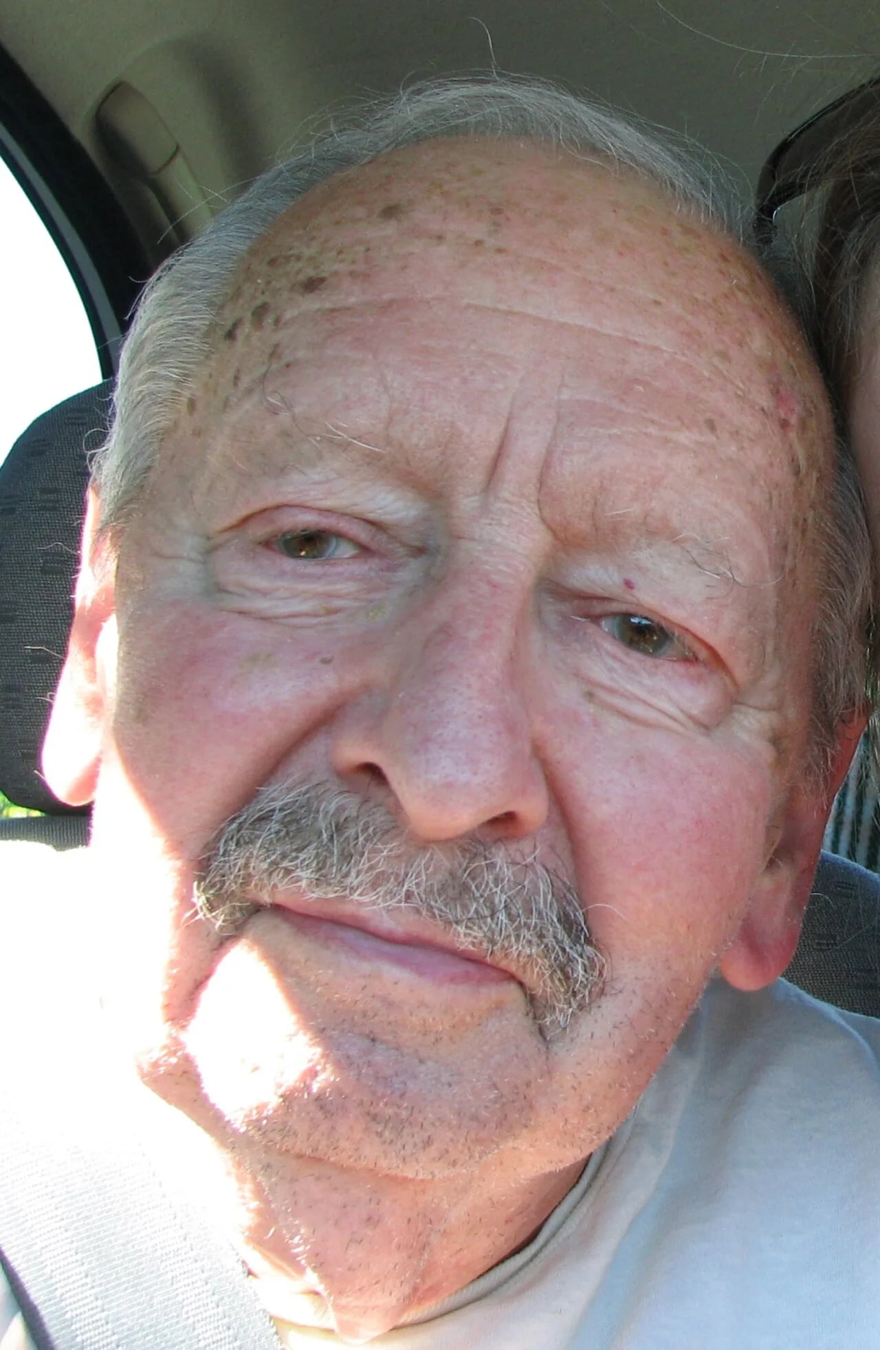 Portrait of Howard Bergerson (1922–2011) – memorial page