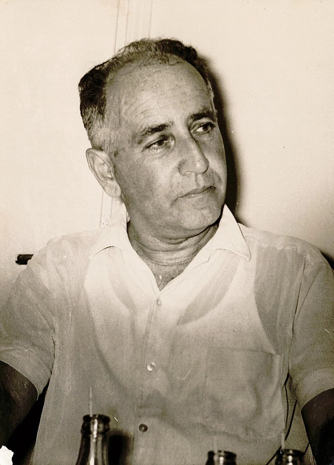 Portrait of Peretz Merchav (1913–1978) – memorial page