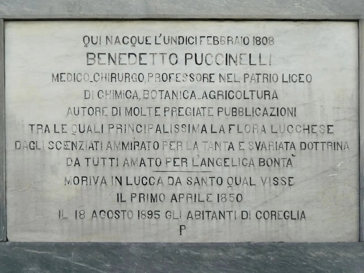 Porträt von Benedetto Luigi Puccinelli (1808–1850) – Gedenkseite