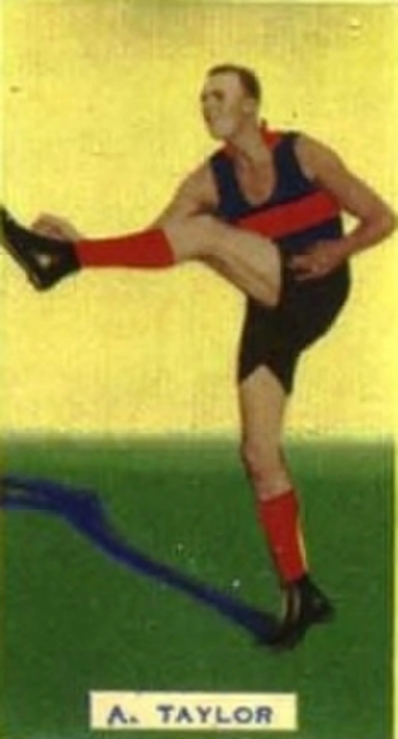 Porträt von Bert Taylor (1911–1978) – Gedenkseite