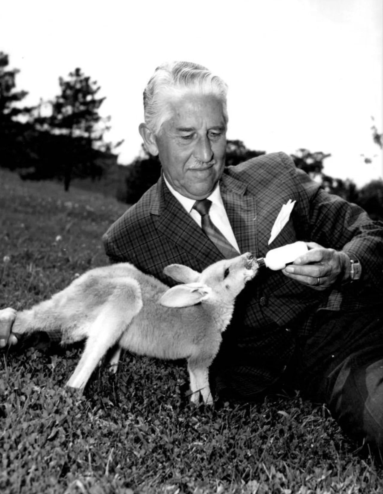 Porträt von Marlin Perkins (1905–1986) – Gedenkseite