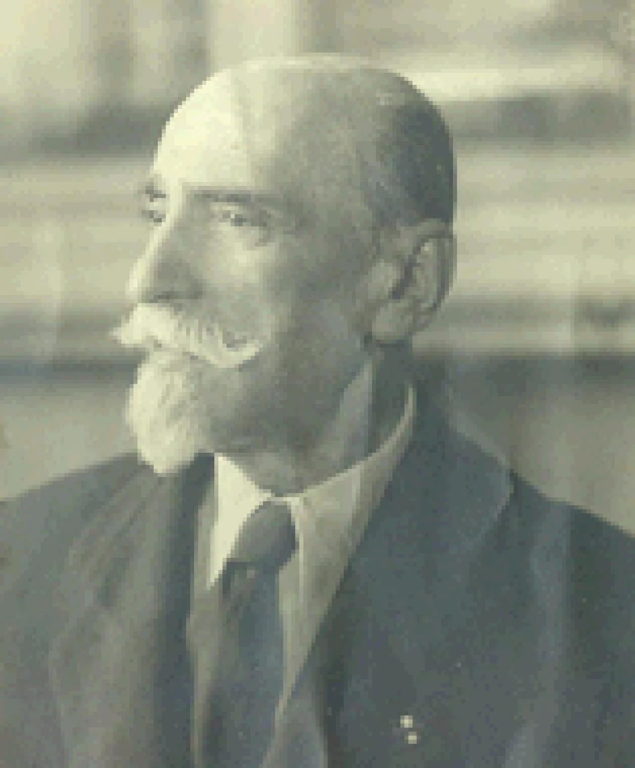 Portrait of Innocente Chersich (1861–1943) – memorial page