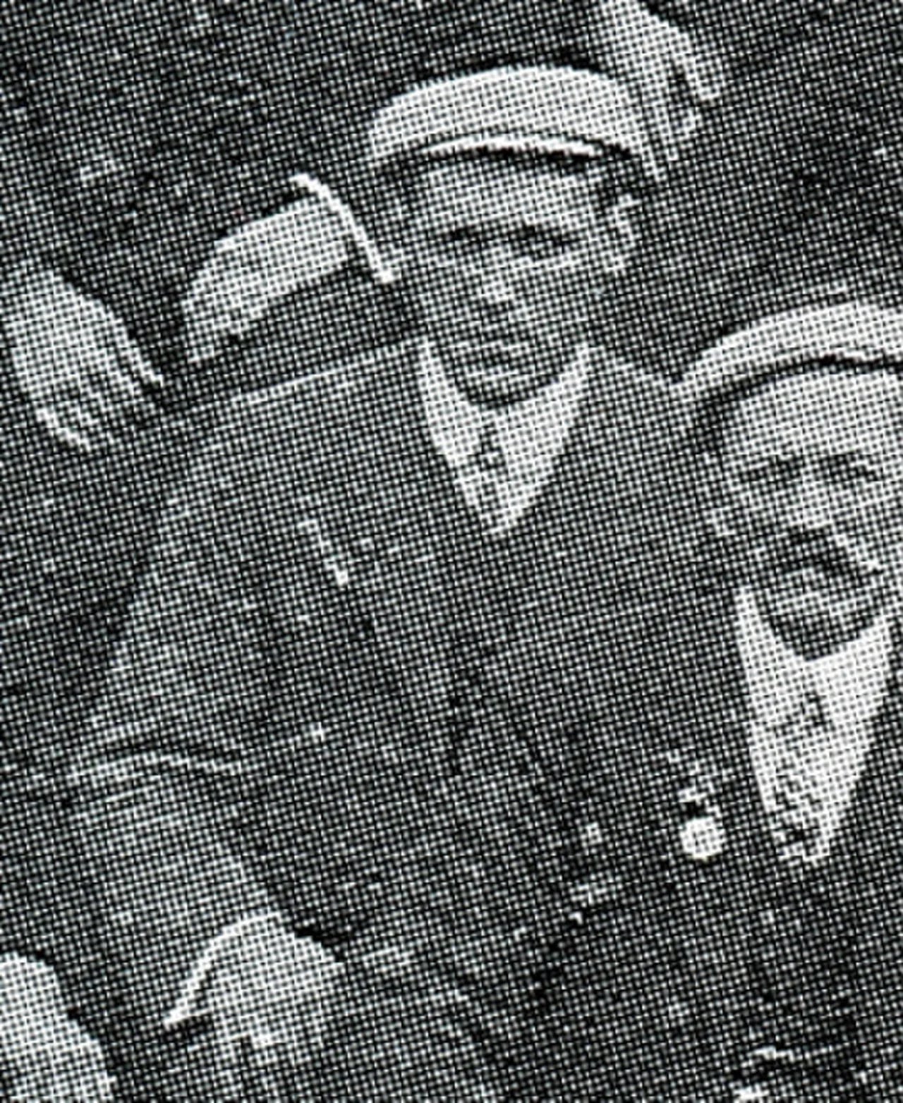 Porträt von Wal Burleigh (1886–1948) – Gedenkseite