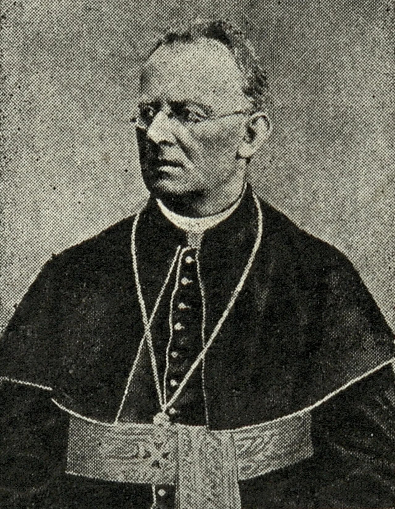 Portrait of Matija Erjavec (1836–1908) – memorial page