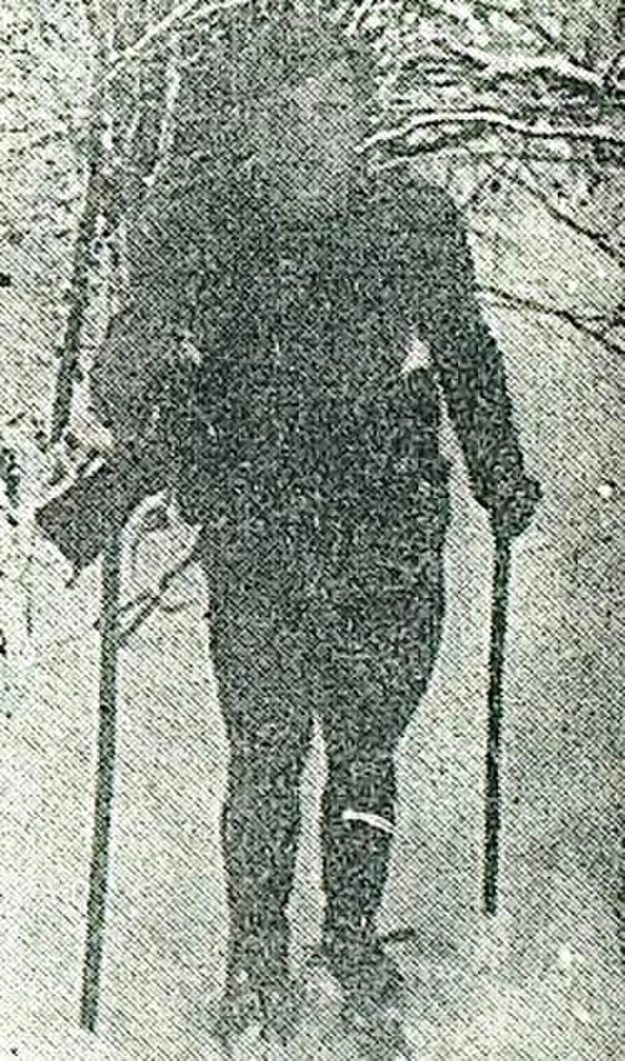 Portrait of Stanko Gruden (1926–1945) – memorial page