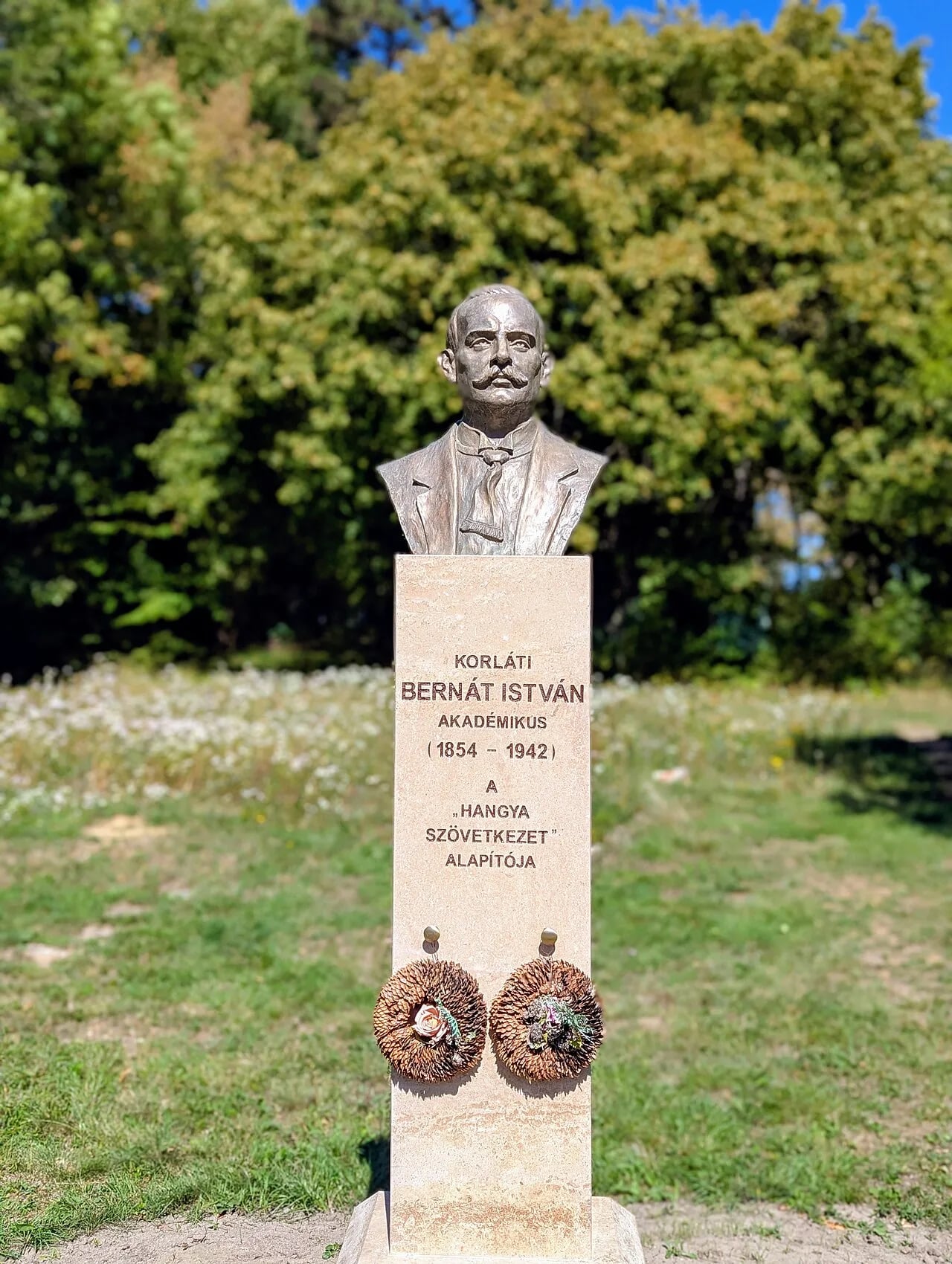 Portrait of István Bernát (1854–1942) – memorial page