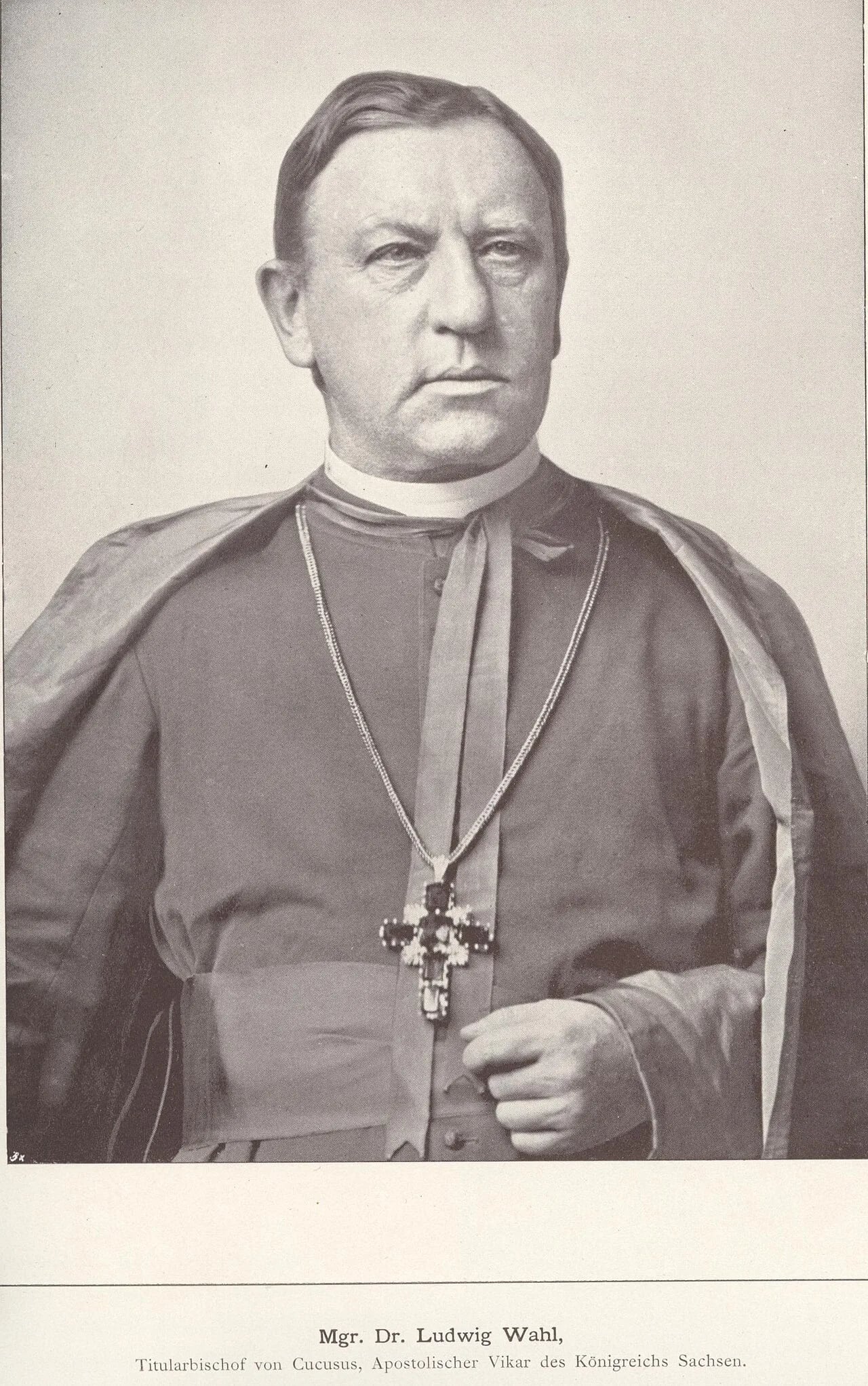 Porträt von Ludwig Wahl (1831–1905) – Gedenkseite