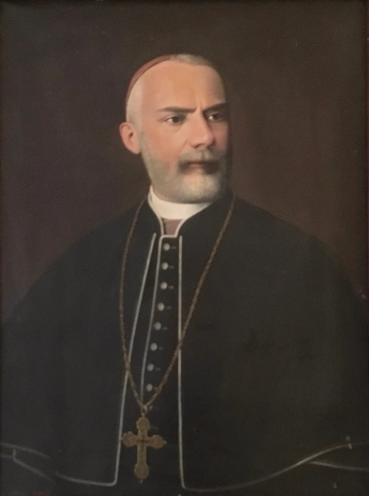 Portrait of Luigi Piavi (1833–1905) – memorial page