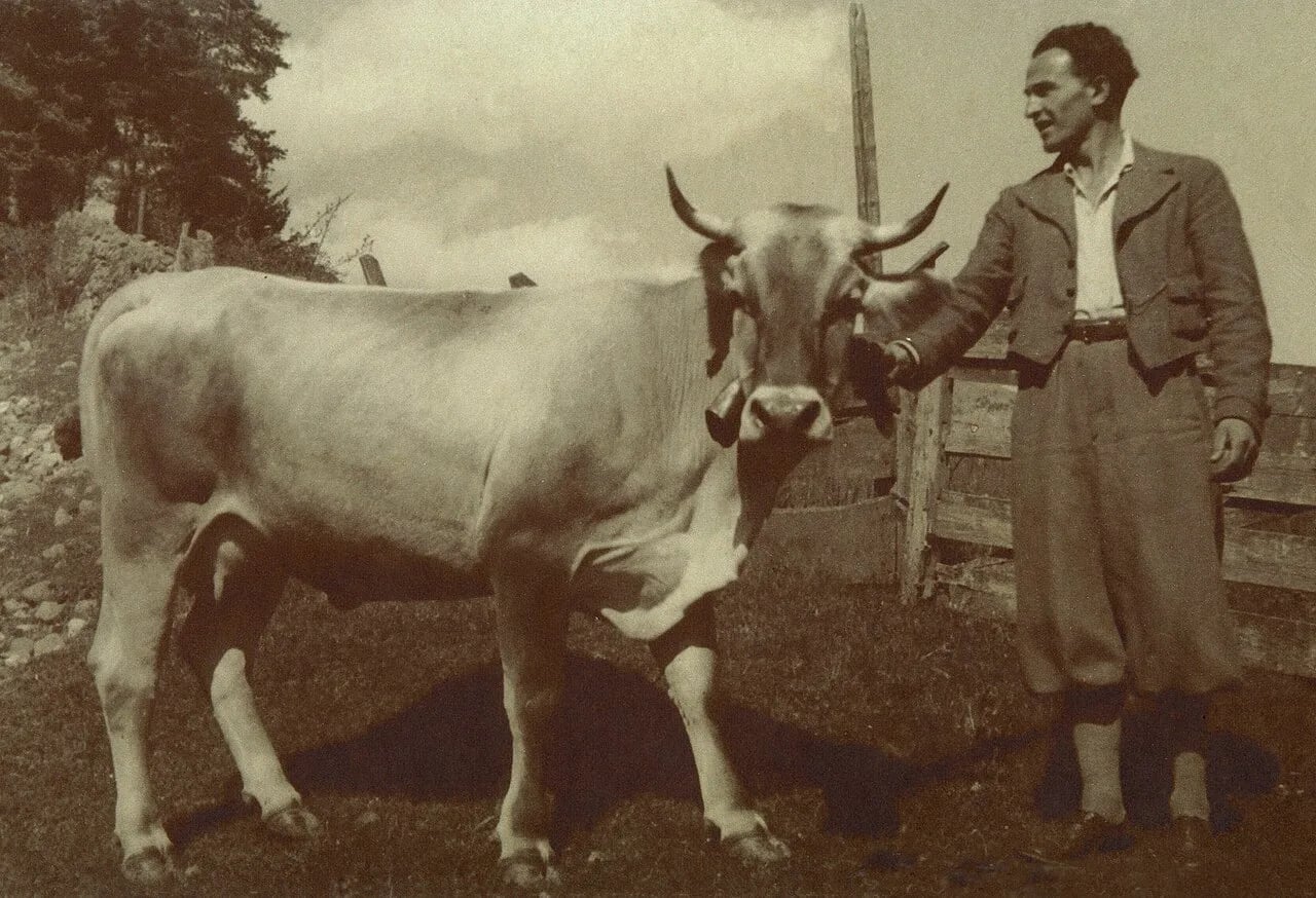 Portrait of Luis Insam (1901–1950) – memorial page