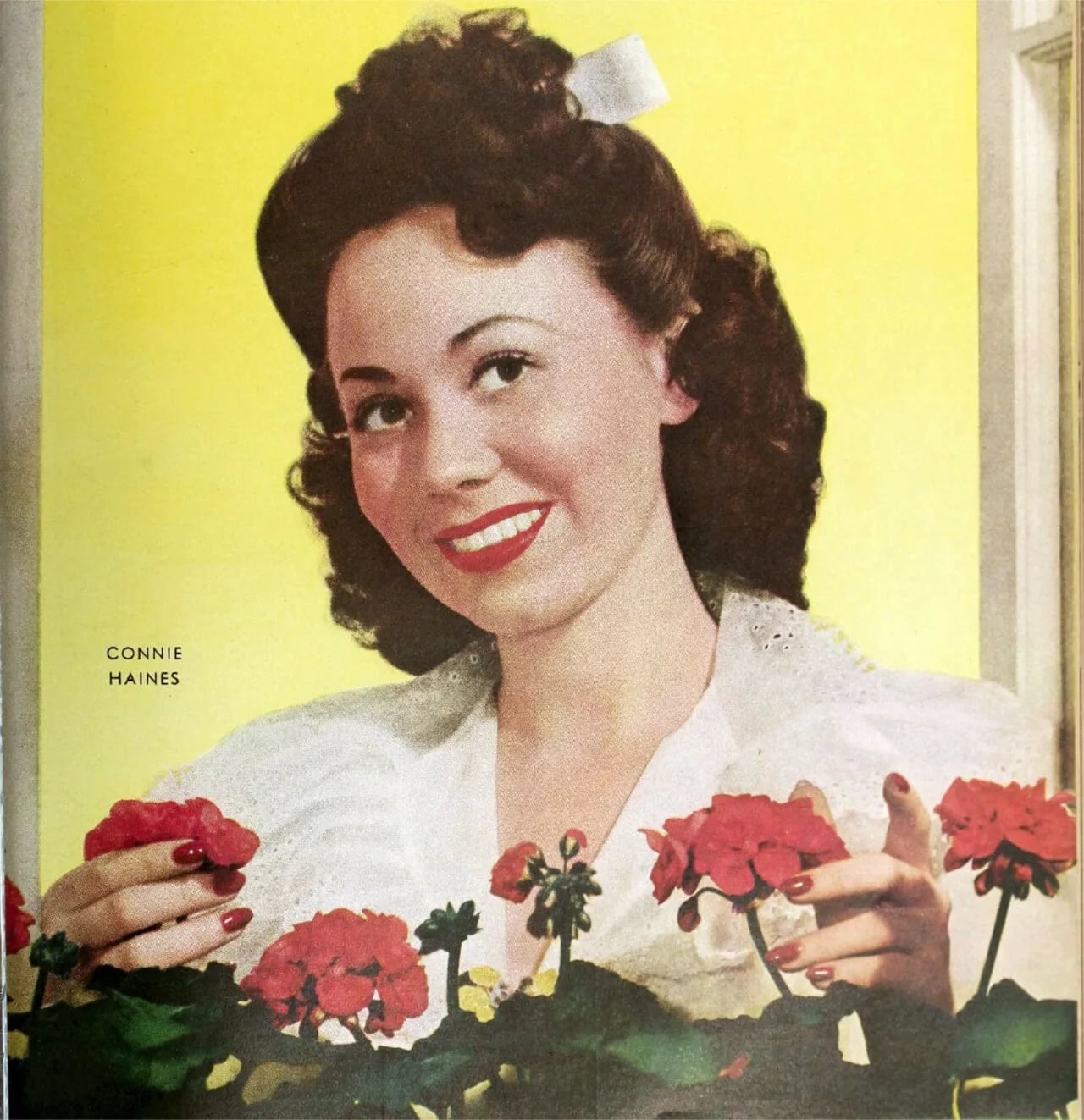 Porträt von Connie Haines (1921–2008) – Gedenkseite