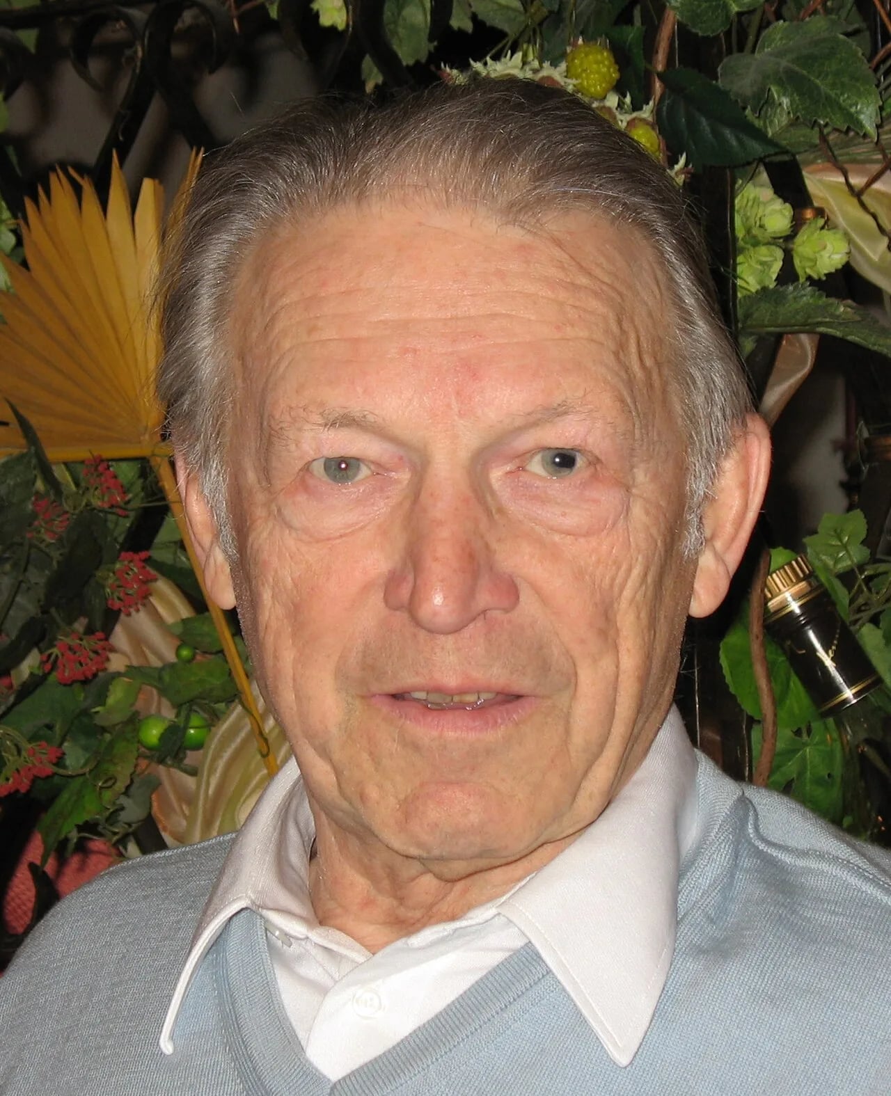 Porträt von Walter Mayer (1926–2015) – Gedenkseite