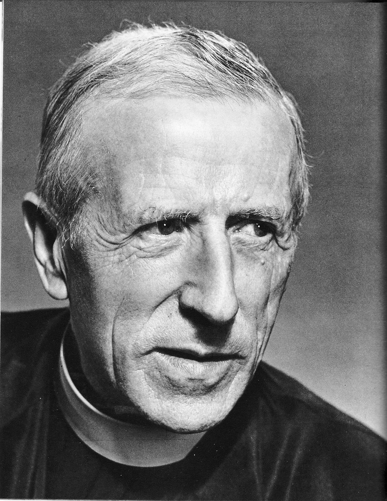 Porträt von Pierre Teilhard de Chardin (1881–1955) – Gedenkseite