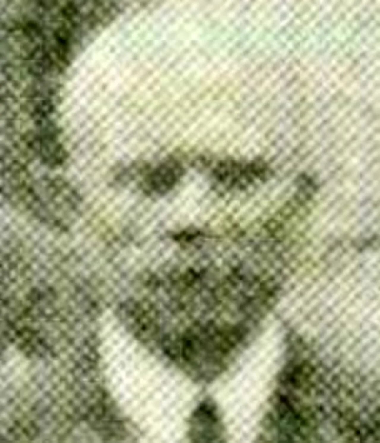Portrait of Andreas Knack (1886–1956) – memorial page