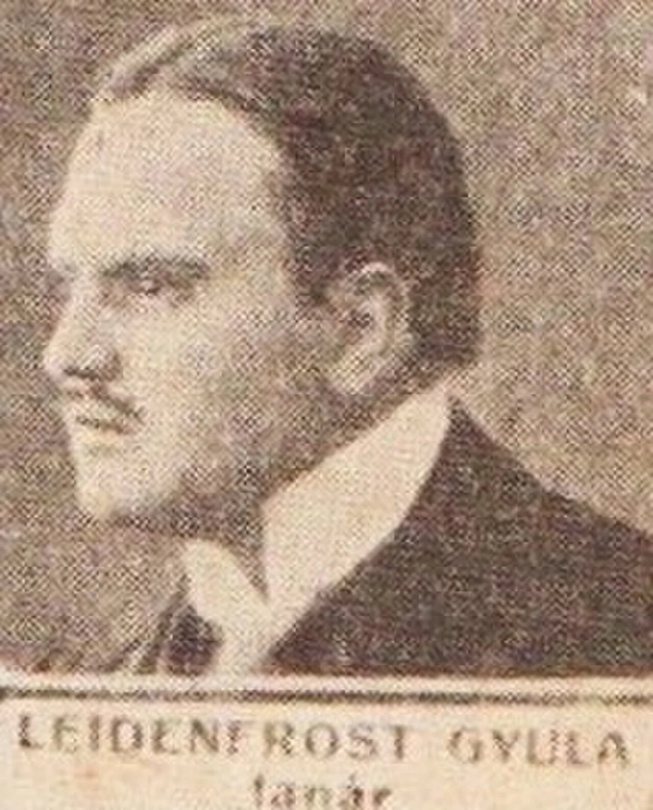 Portrait of Gyula Leidenfrost (1885–1967) – memorial page