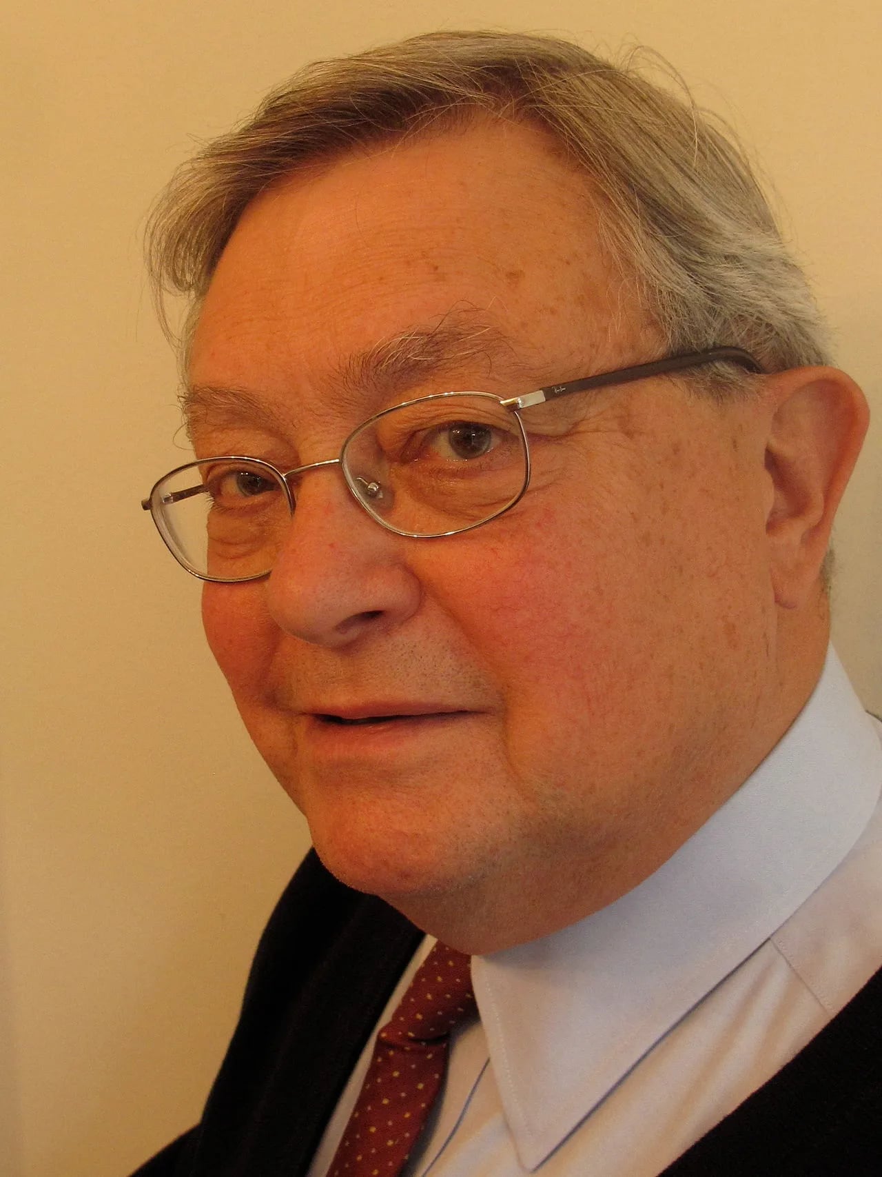 Porträt von Nico ter Linden (1936–2018) – Gedenkseite