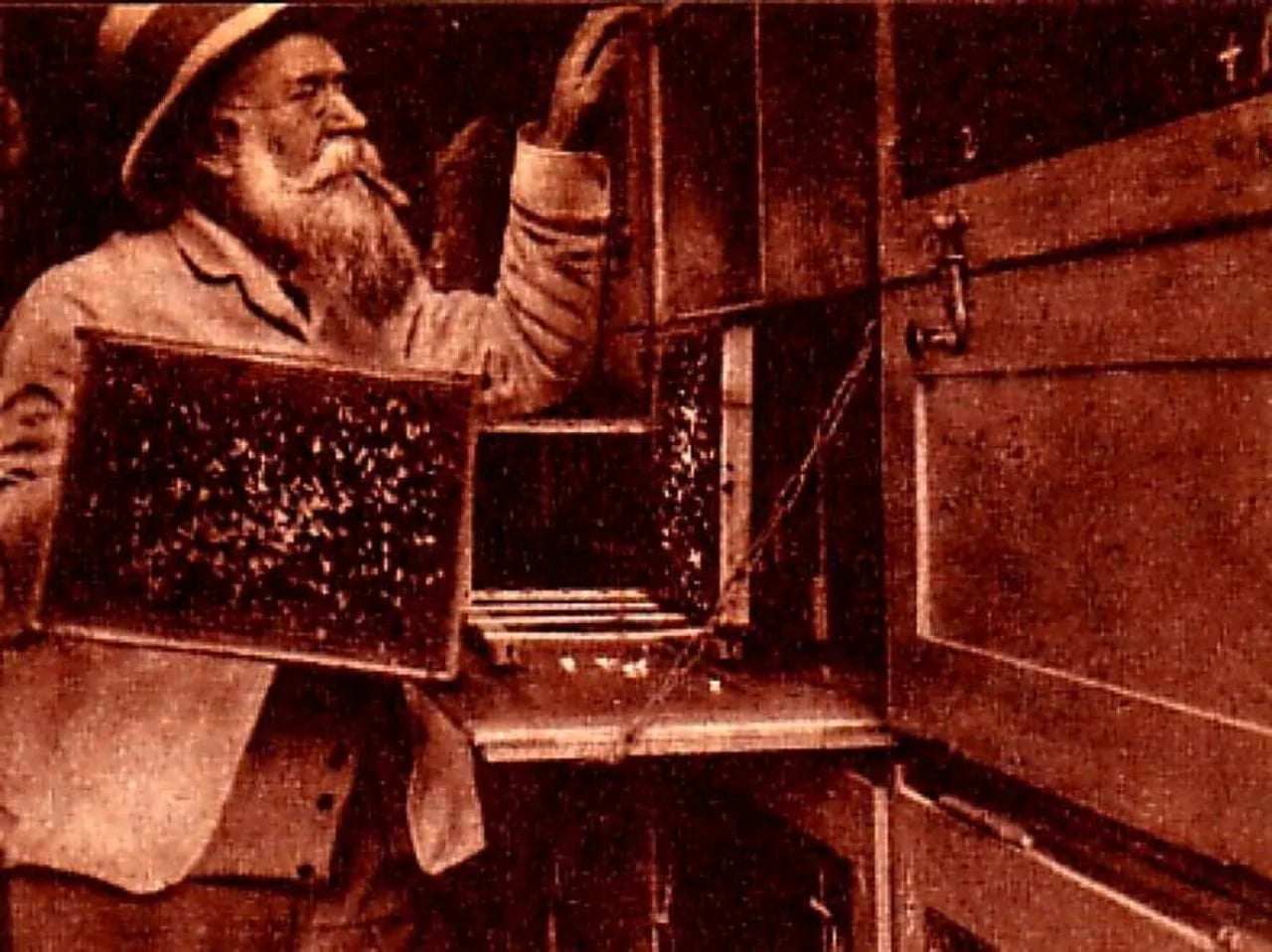 Portrait of Max Kuntzsch (1851–1919) – memorial page