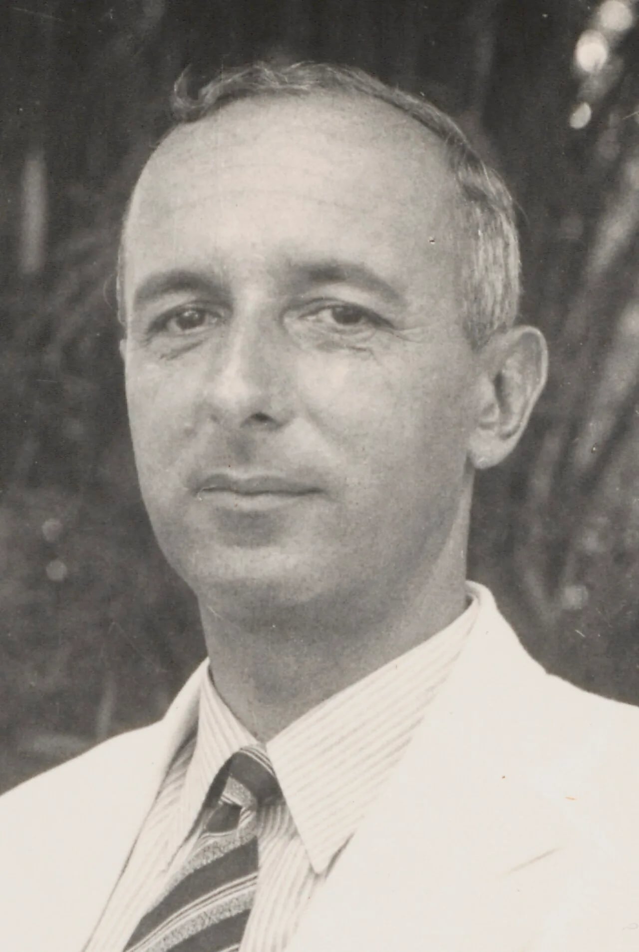 Portrait of Taco Hajo van den Honert (1899–1959) – memorial page