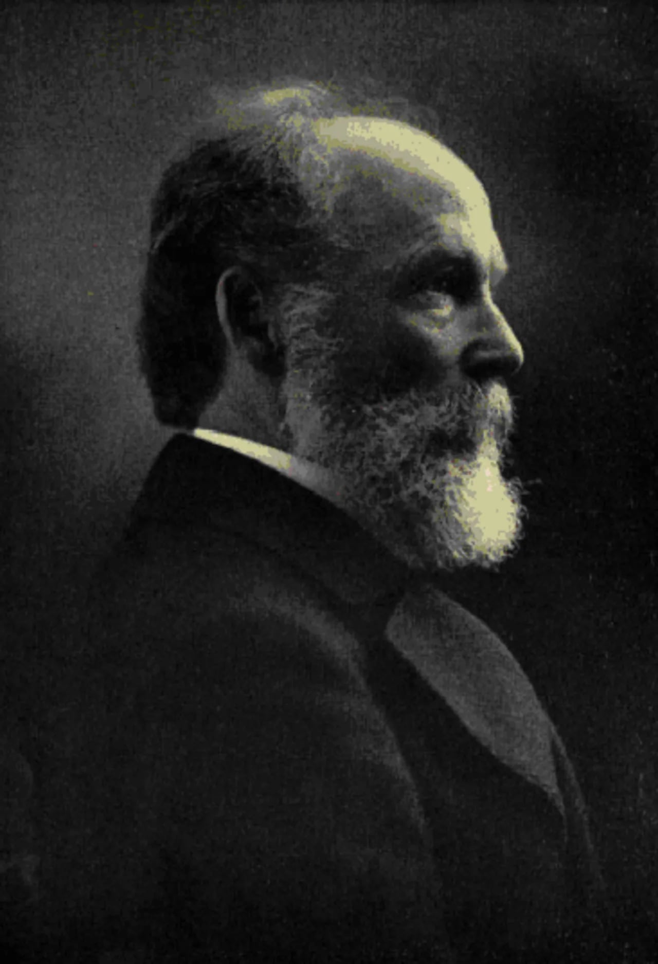 Portrait of Moses Coit Tyler (1835–1900) – memorial page