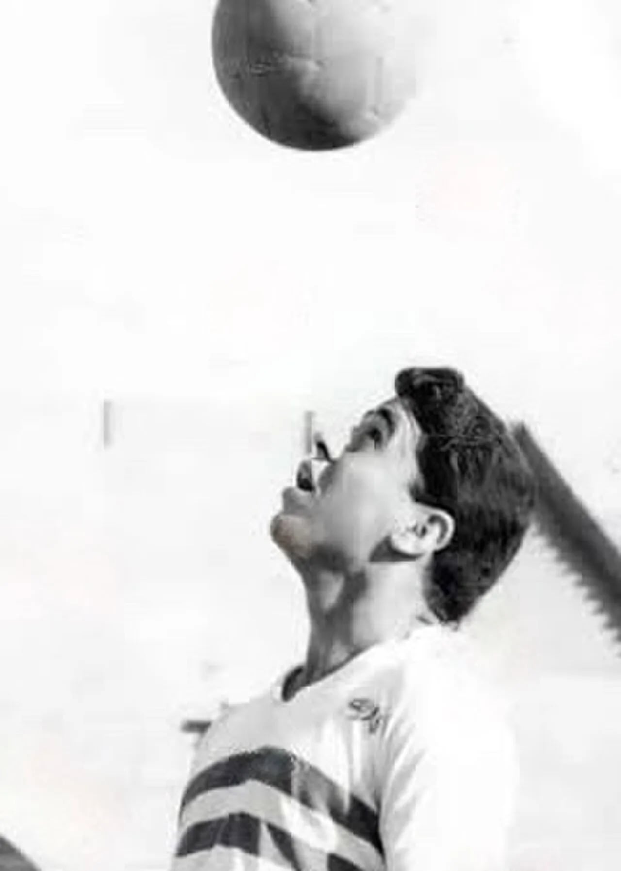Portrait of Nabil Nosair (1938–2016) – memorial page