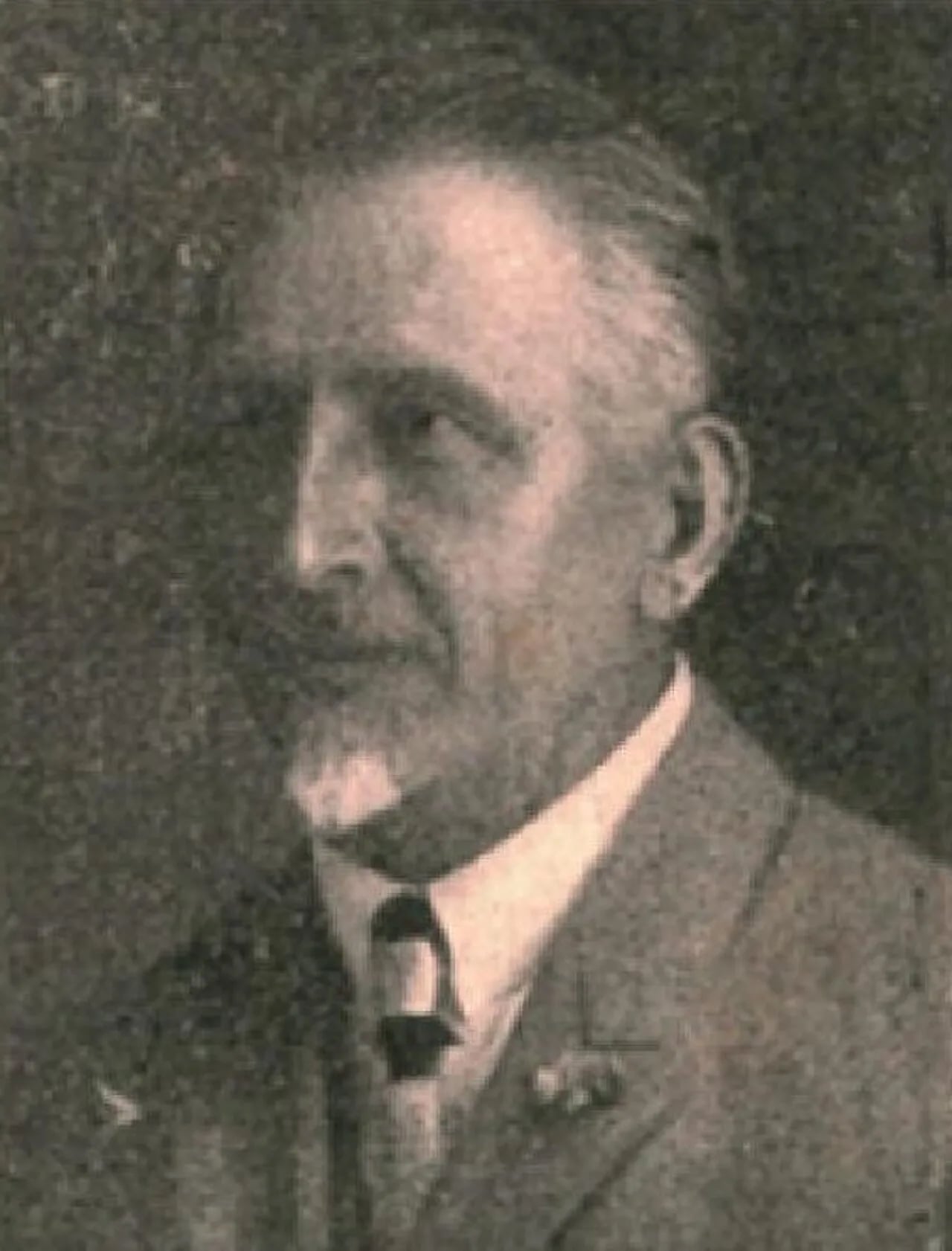 Portrait of František Bohumil Doubek (1865–1952) – memorial page