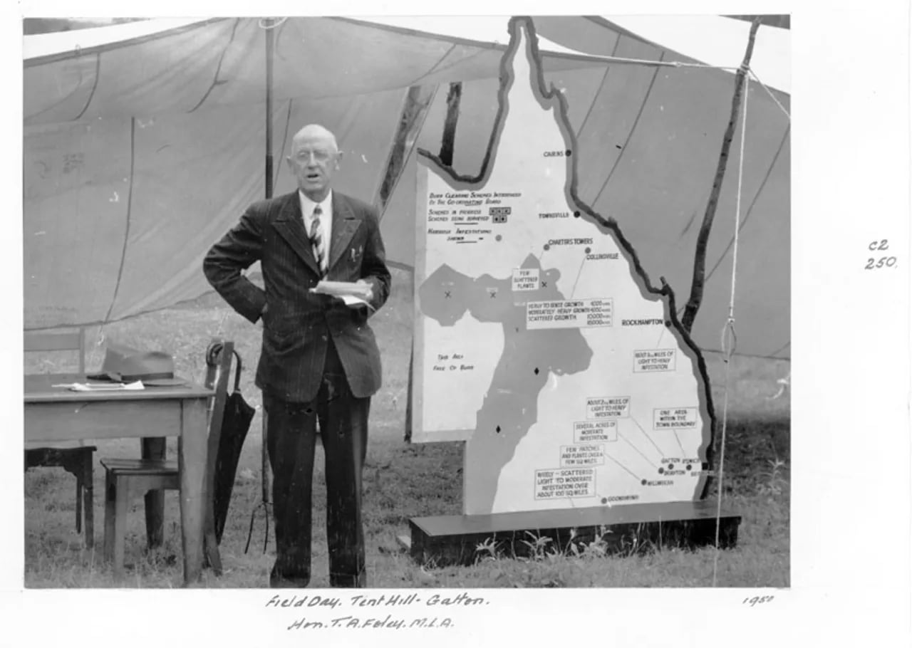 Porträt von Tom Foley (1886–1973) – Gedenkseite