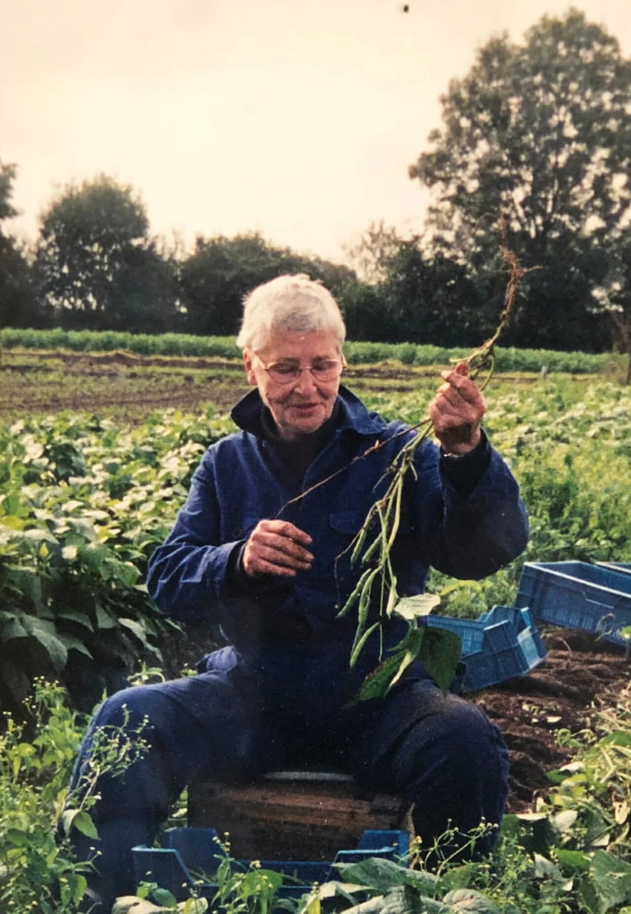 Portrait of Corrie Hafkamp (1929–2020) – memorial page