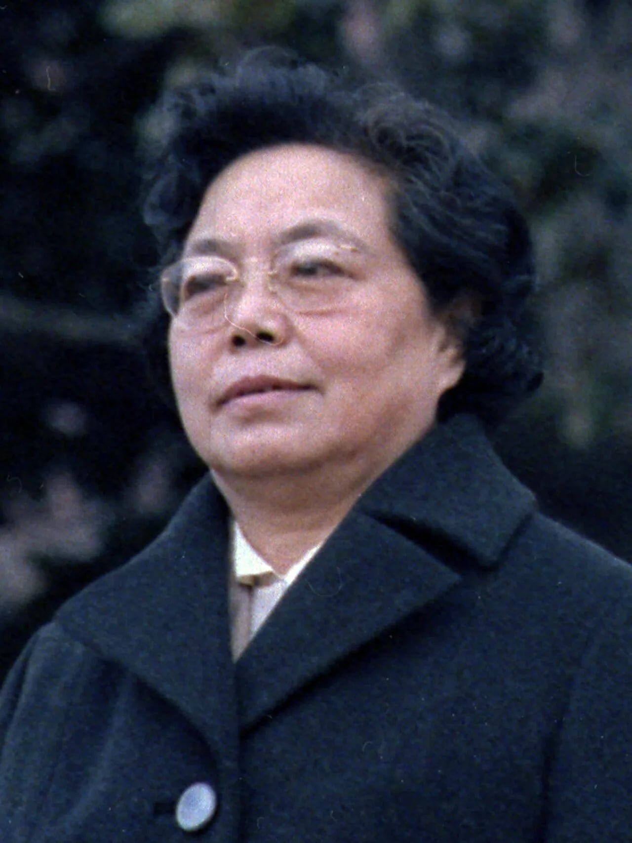 Portrait of Zhuo Lin (1916–2009) – memorial page