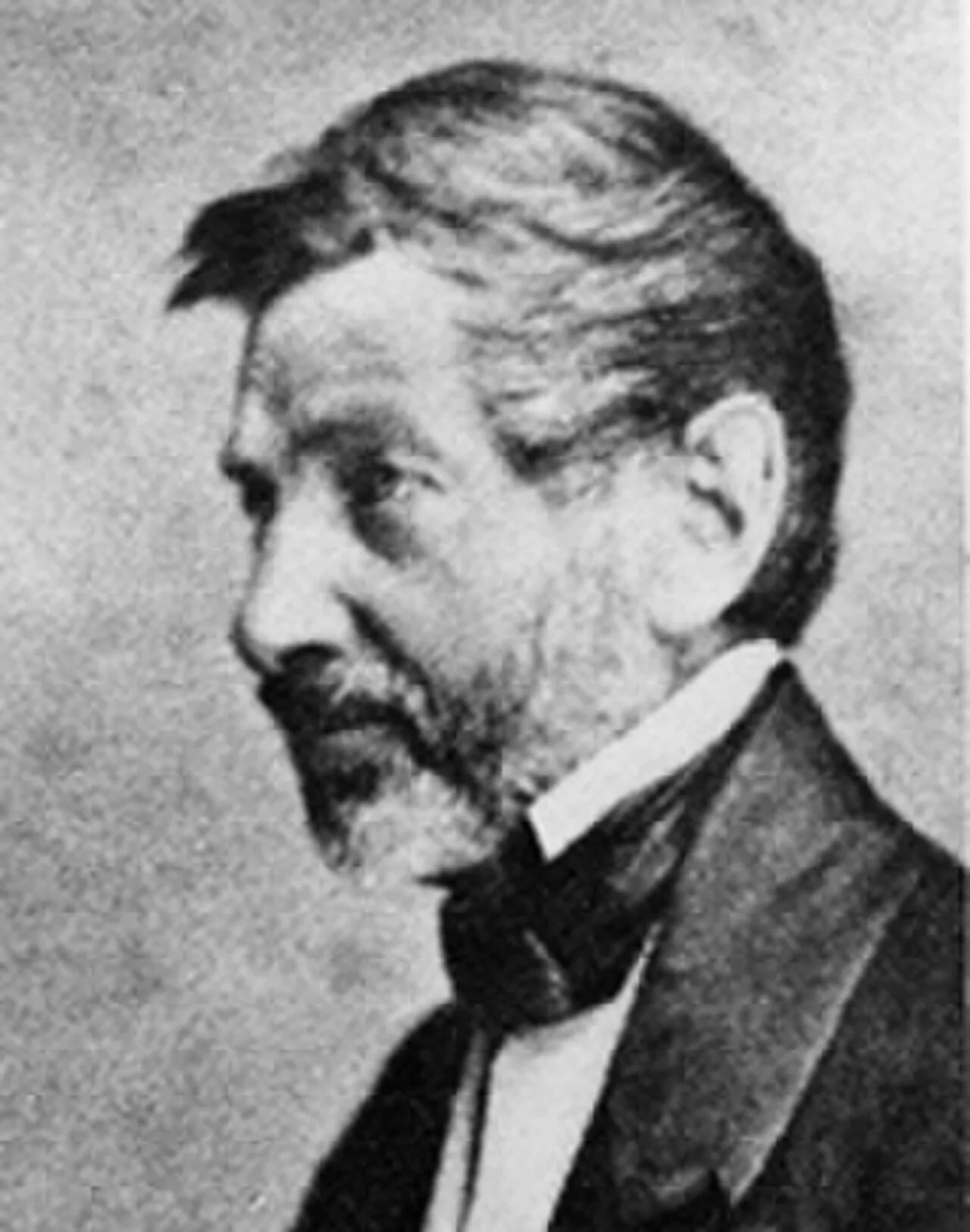 Porträt von Auguste Viquesnel (1800–1867) – Gedenkseite
